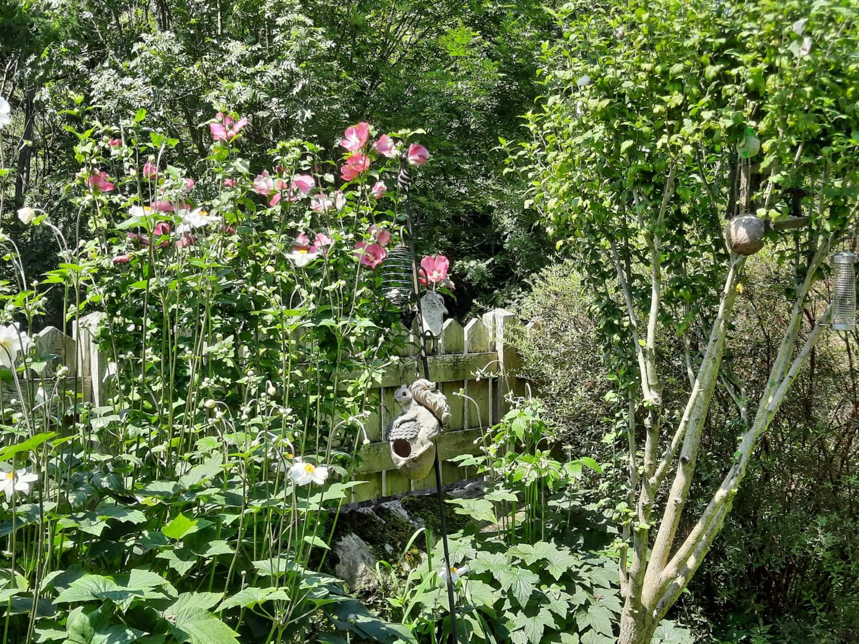 Garden view in GREEN BIKE PYRENEES