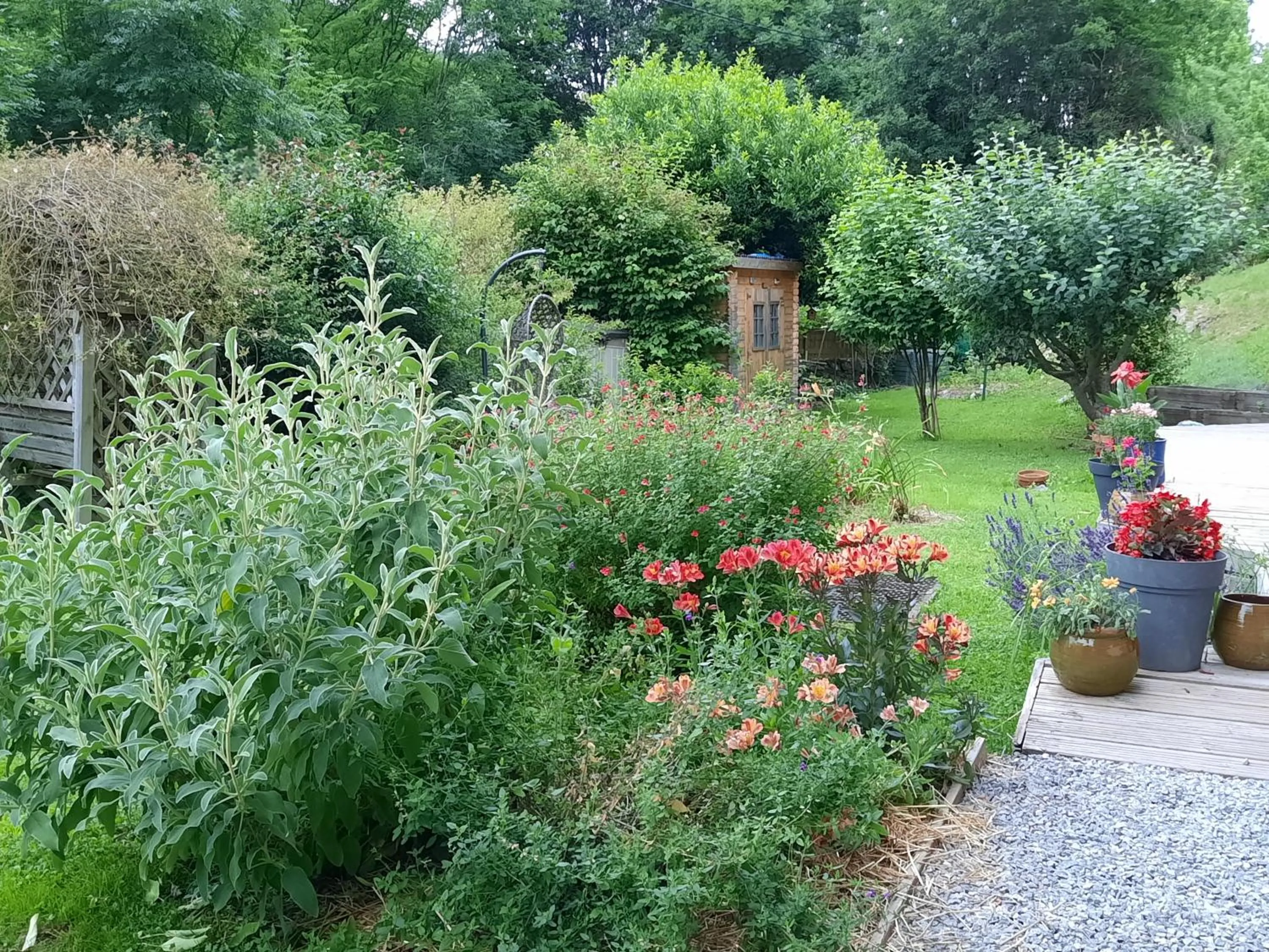 Garden view in GREEN BIKE PYRENEES