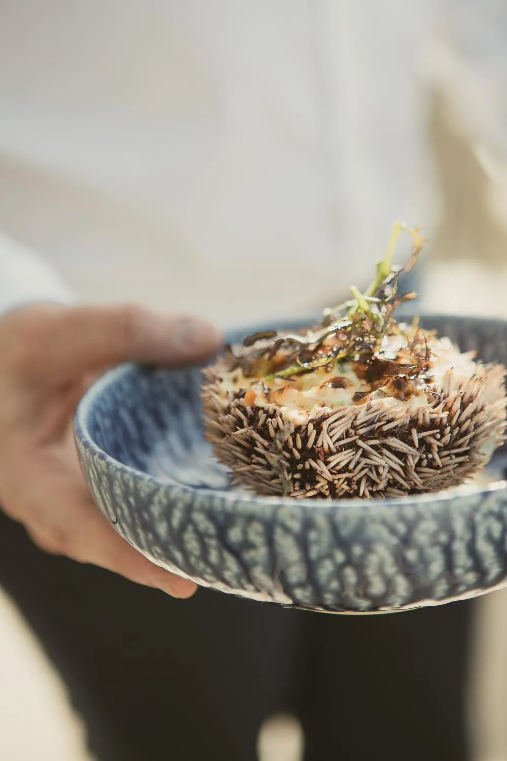 Food in Hôtel La Plage 5 étoiles La Grande Motte