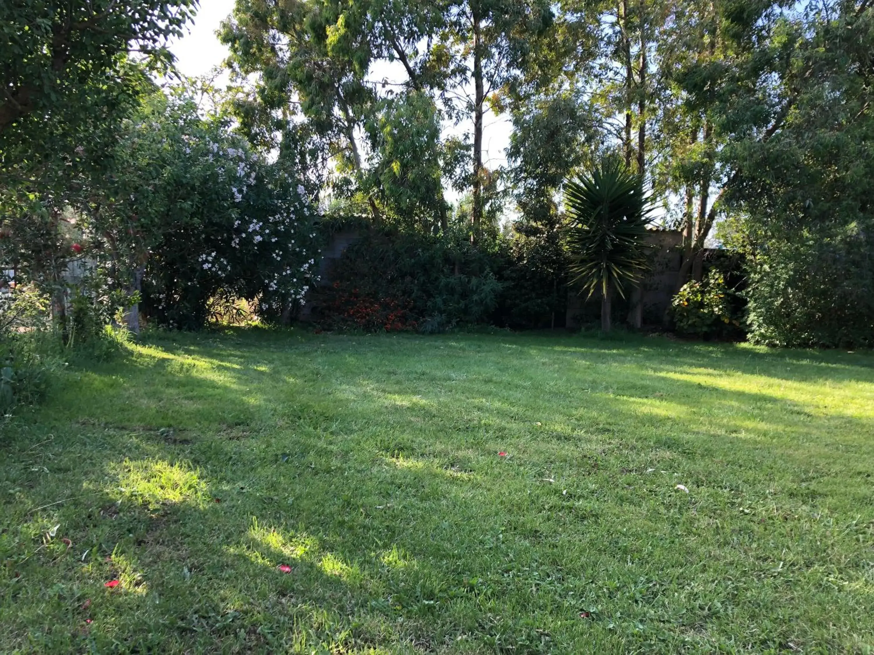 Le terre cotte Le terre cotte