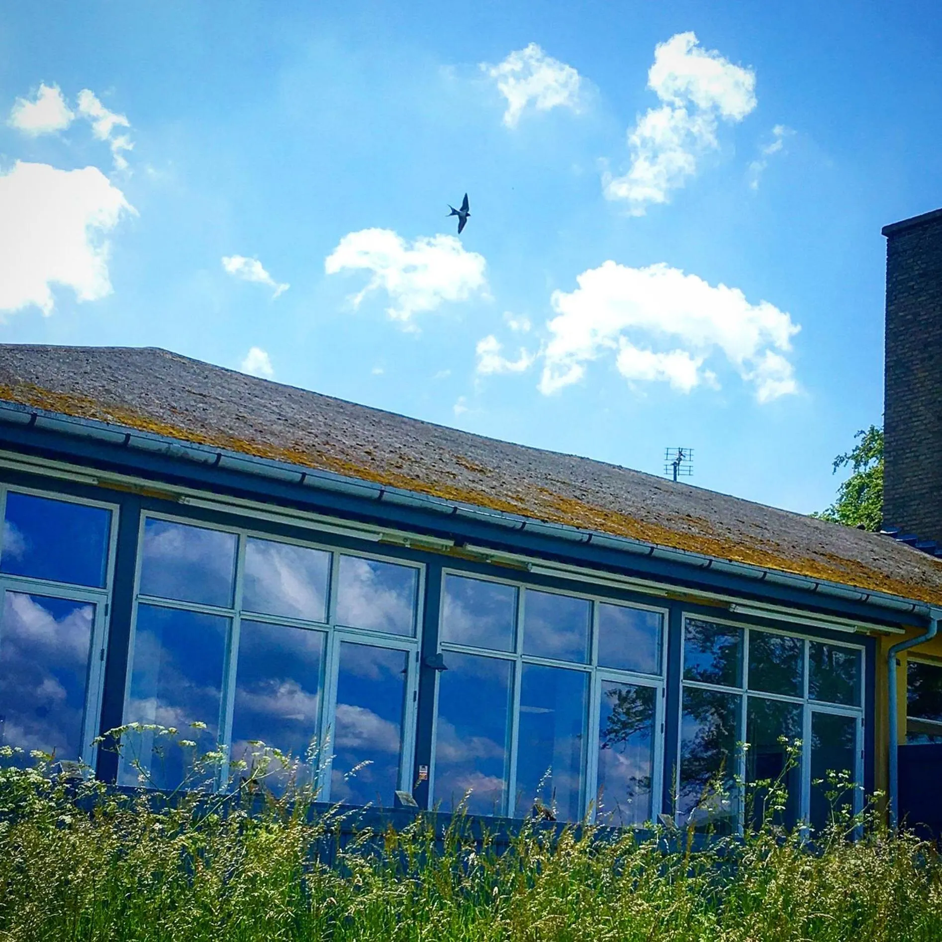 Property building in Skærven Beachfront Apartments and Cottage