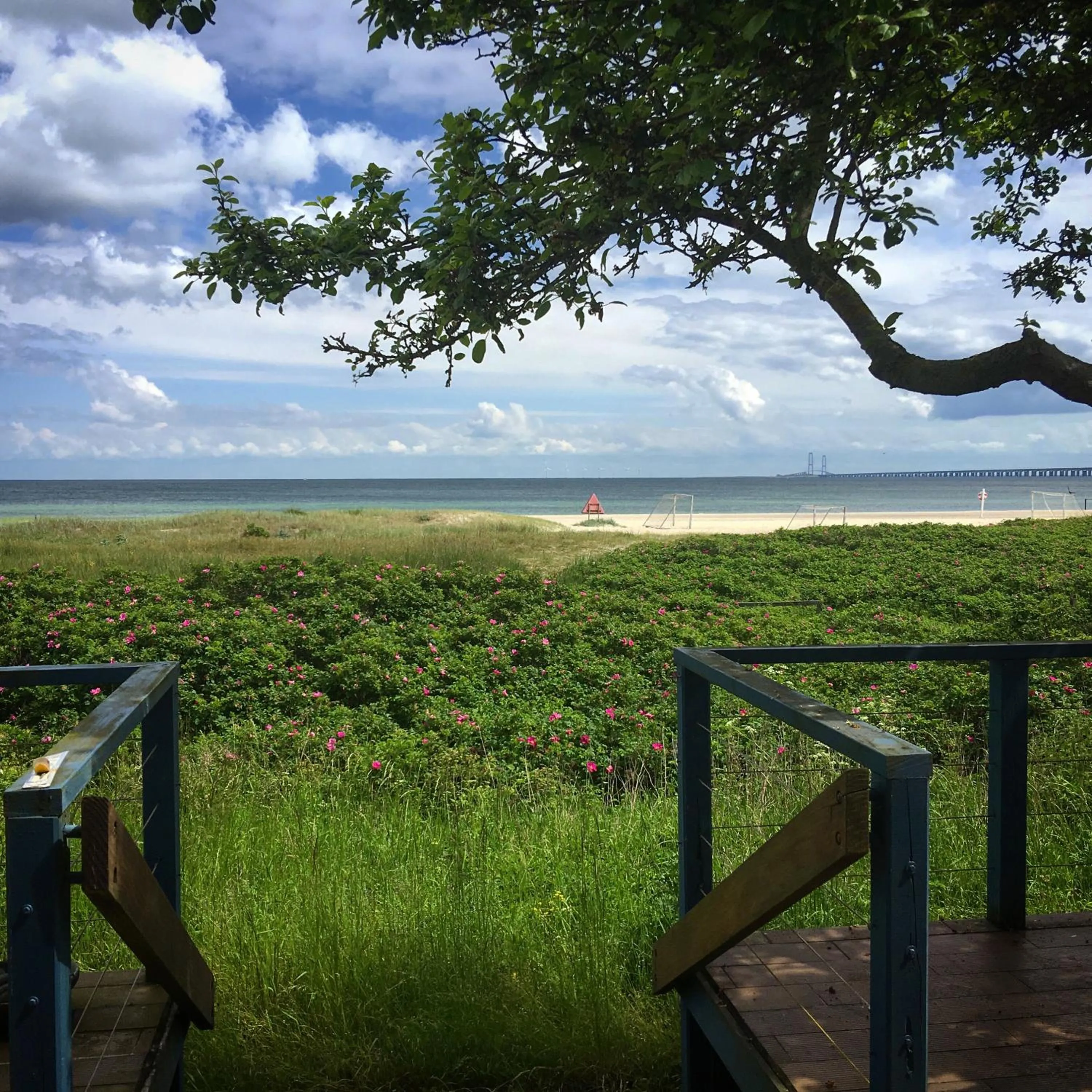 Natural landscape in Skærven Beachfront Apartments and Cottage