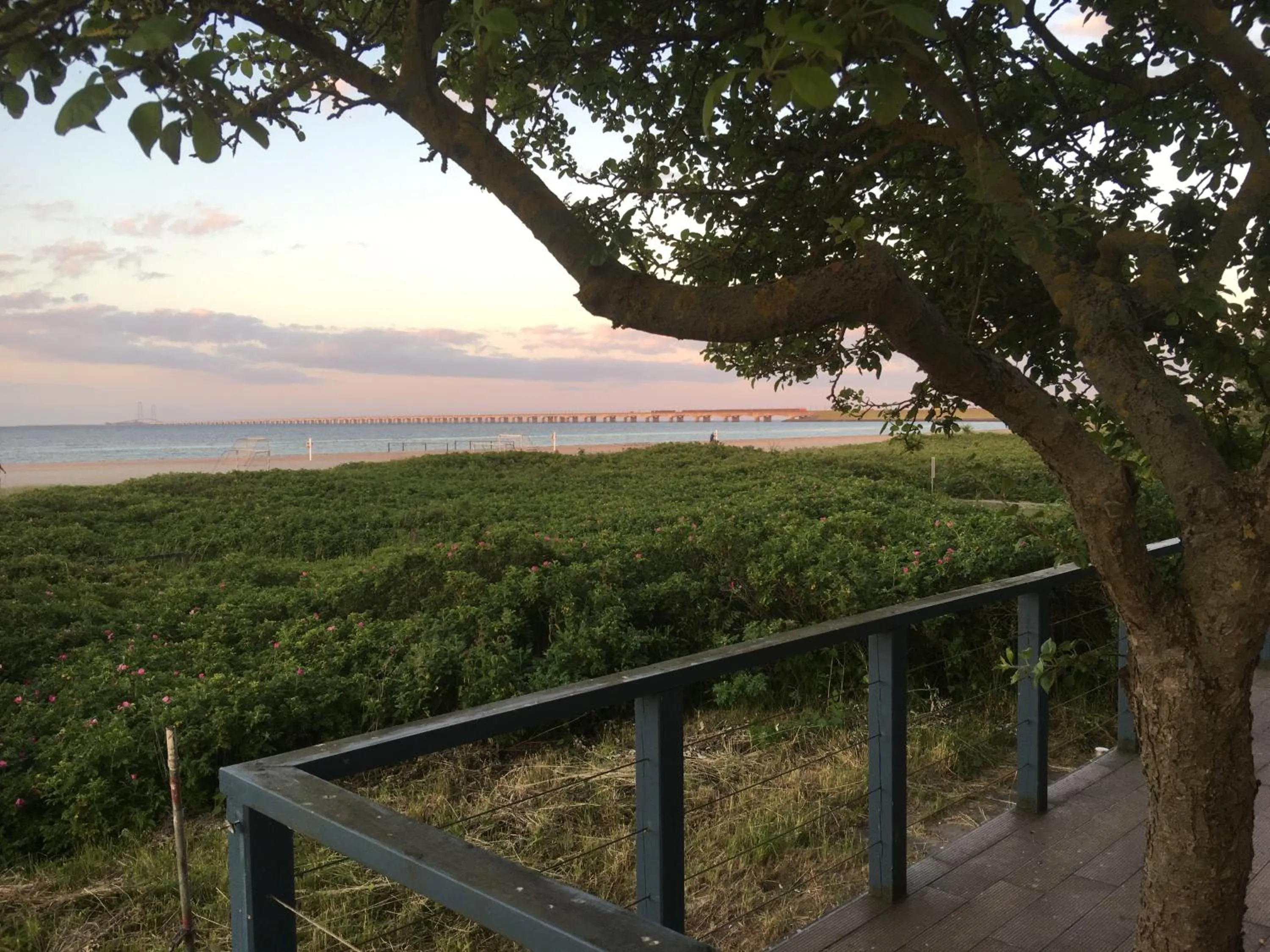 Natural landscape in Skærven Beachfront Apartments and Cottage