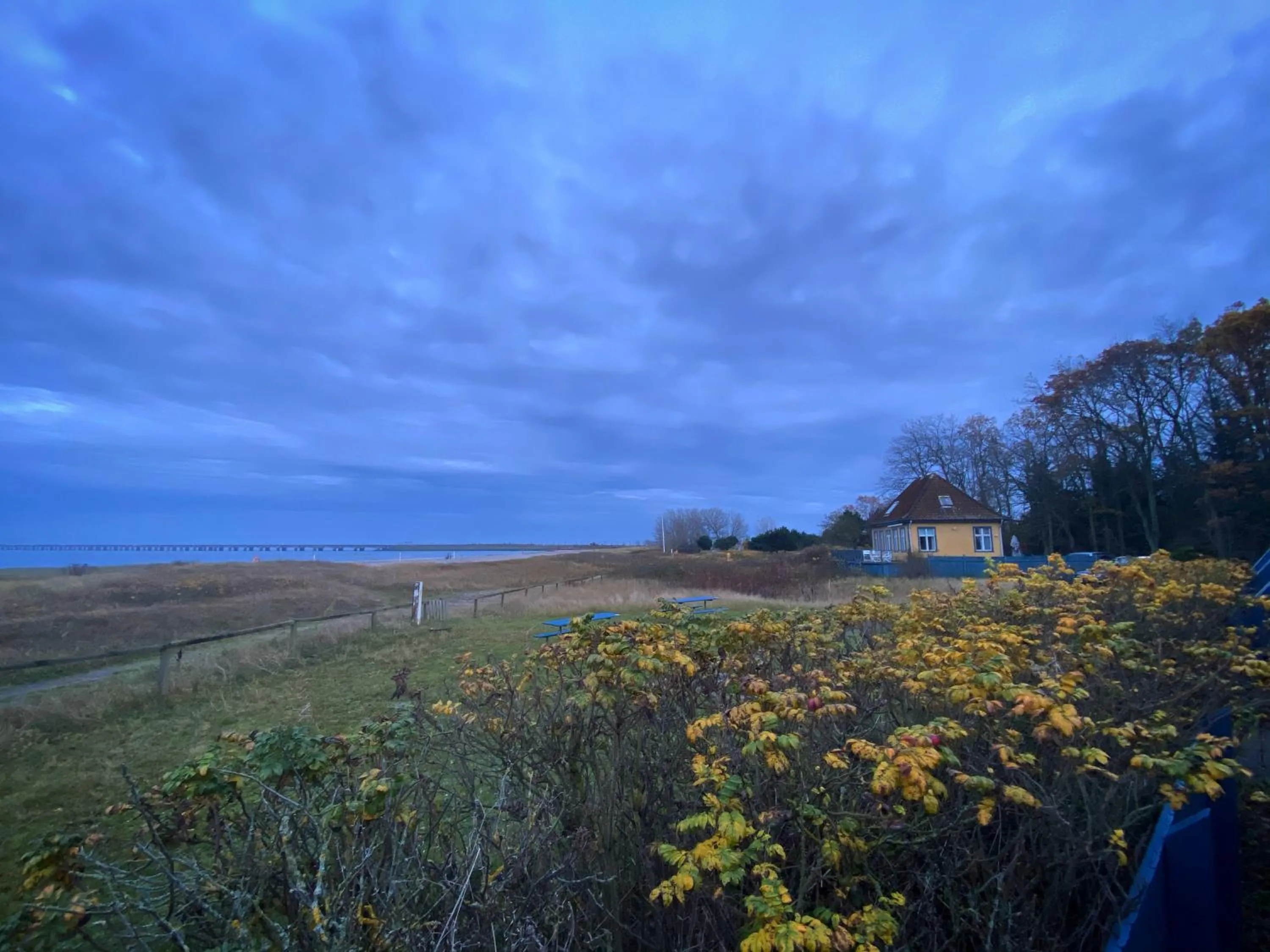 Natural landscape in Skærven Beachfront Apartments and Cottage