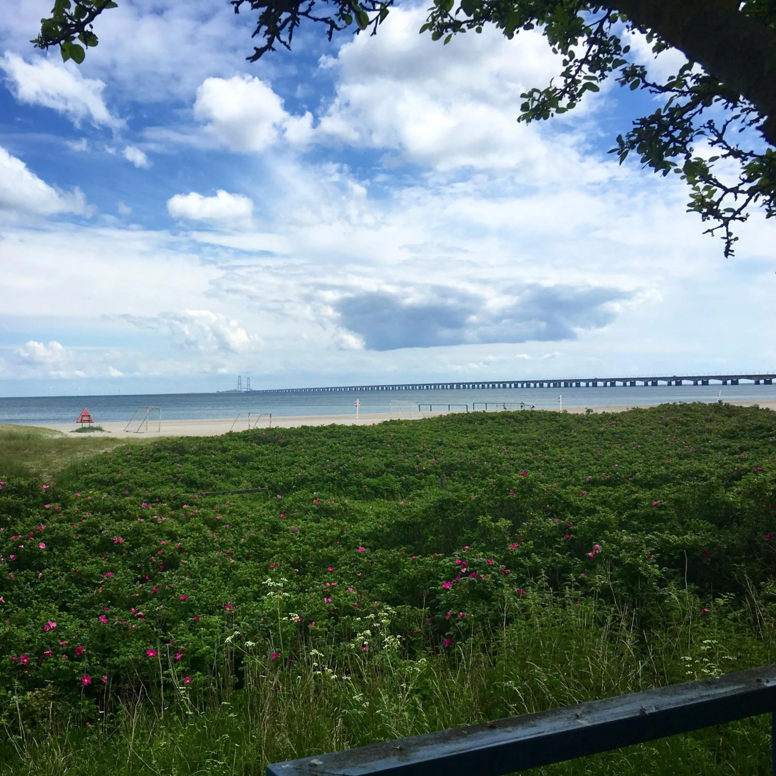 Natural landscape in Skærven Beachfront Apartments and Cottage