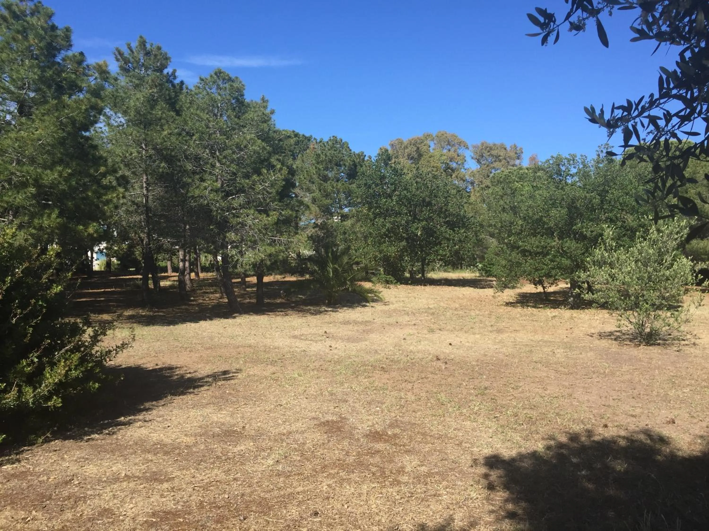 Property building in Residenza Gherly