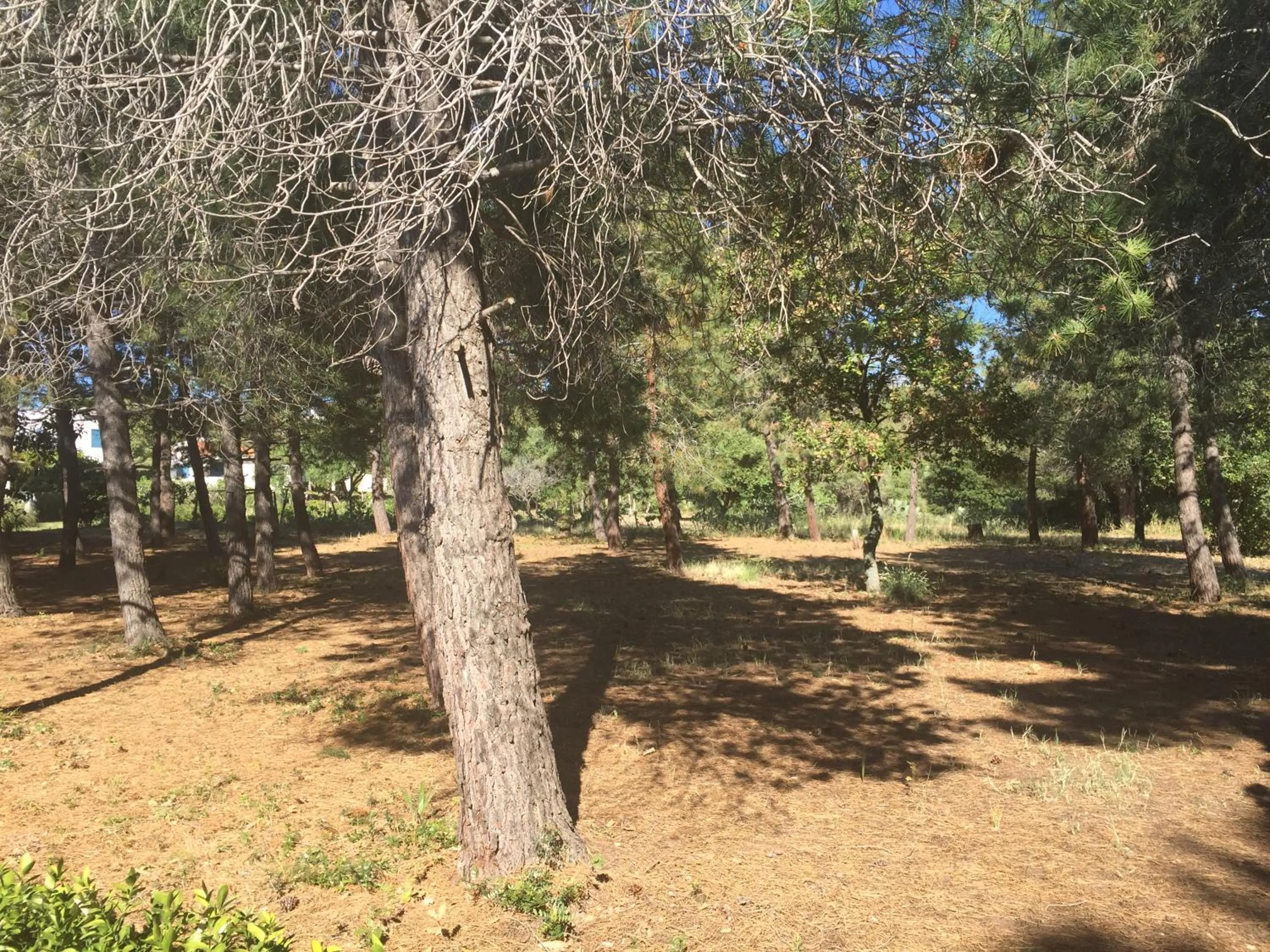 Property building in Residenza Gherly