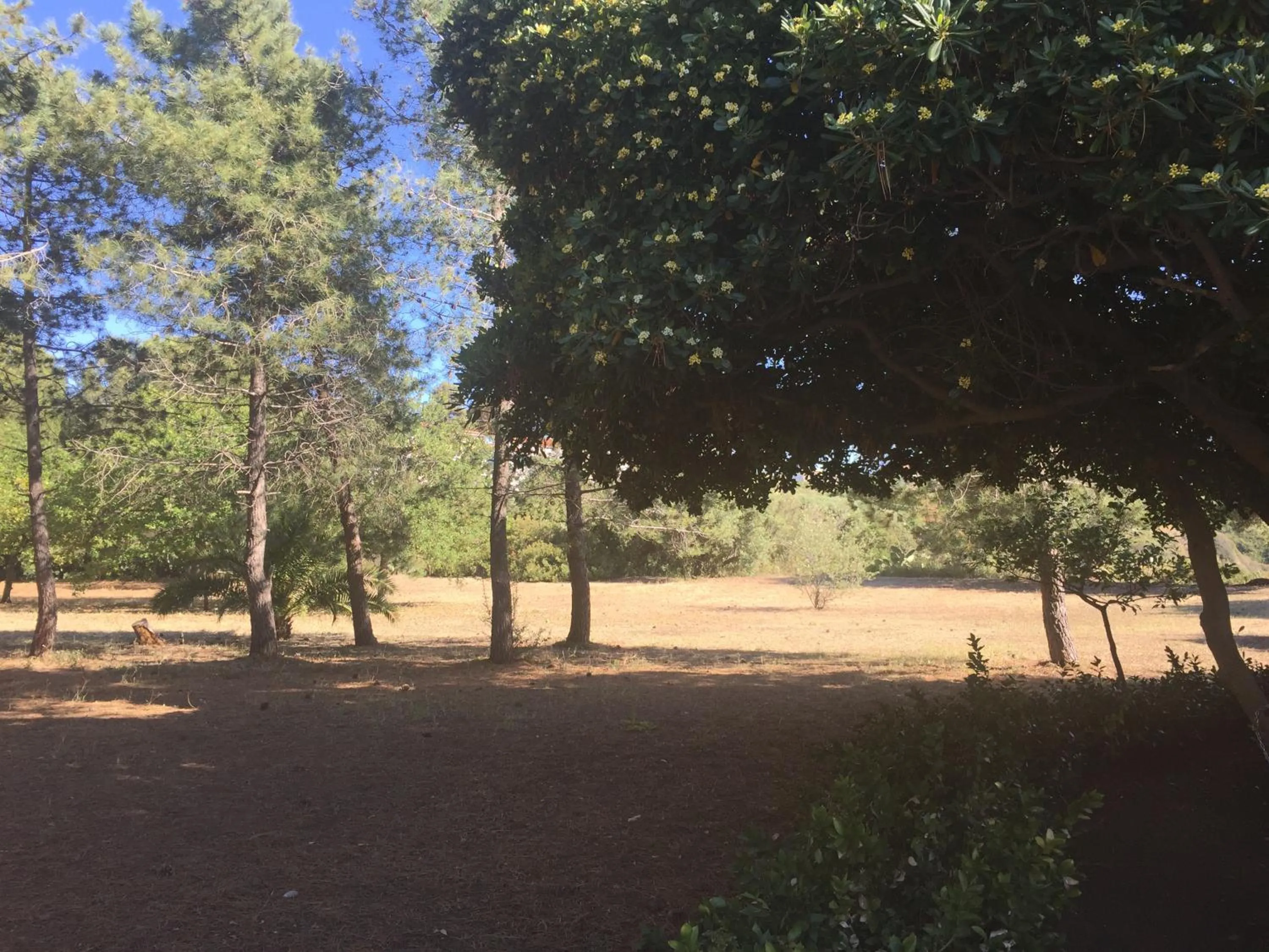 Property building in Residenza Gherly