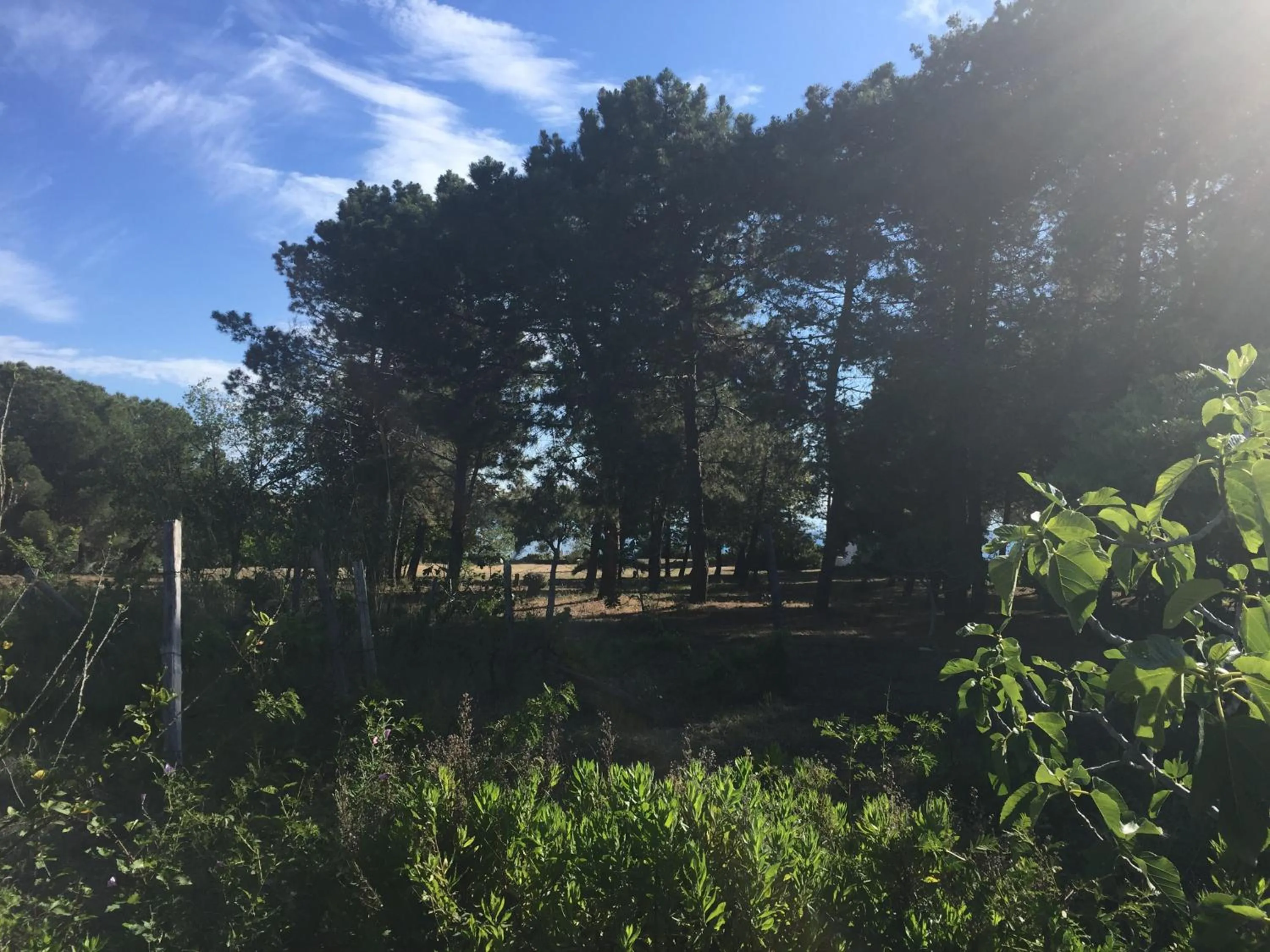 Property building in Residenza Gherly