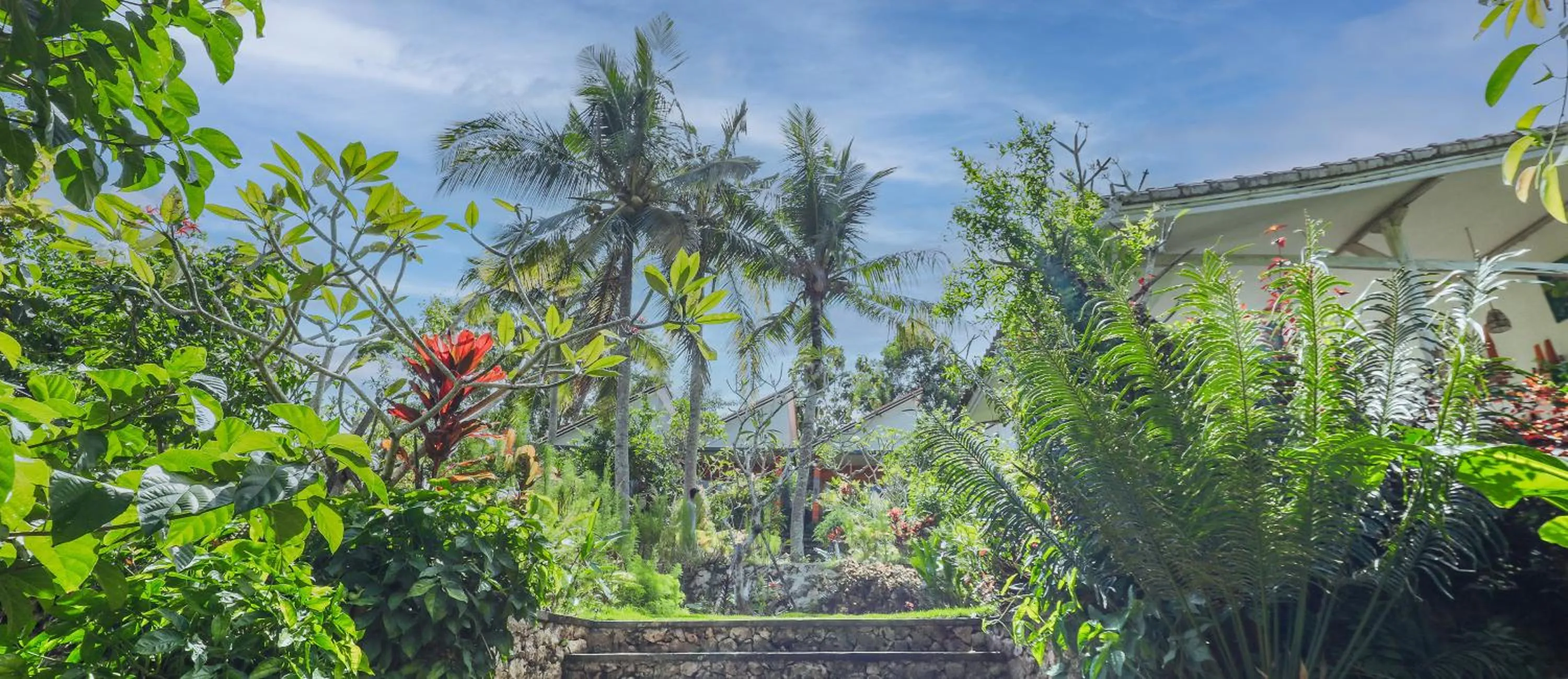 Day in Bhavana Cottage