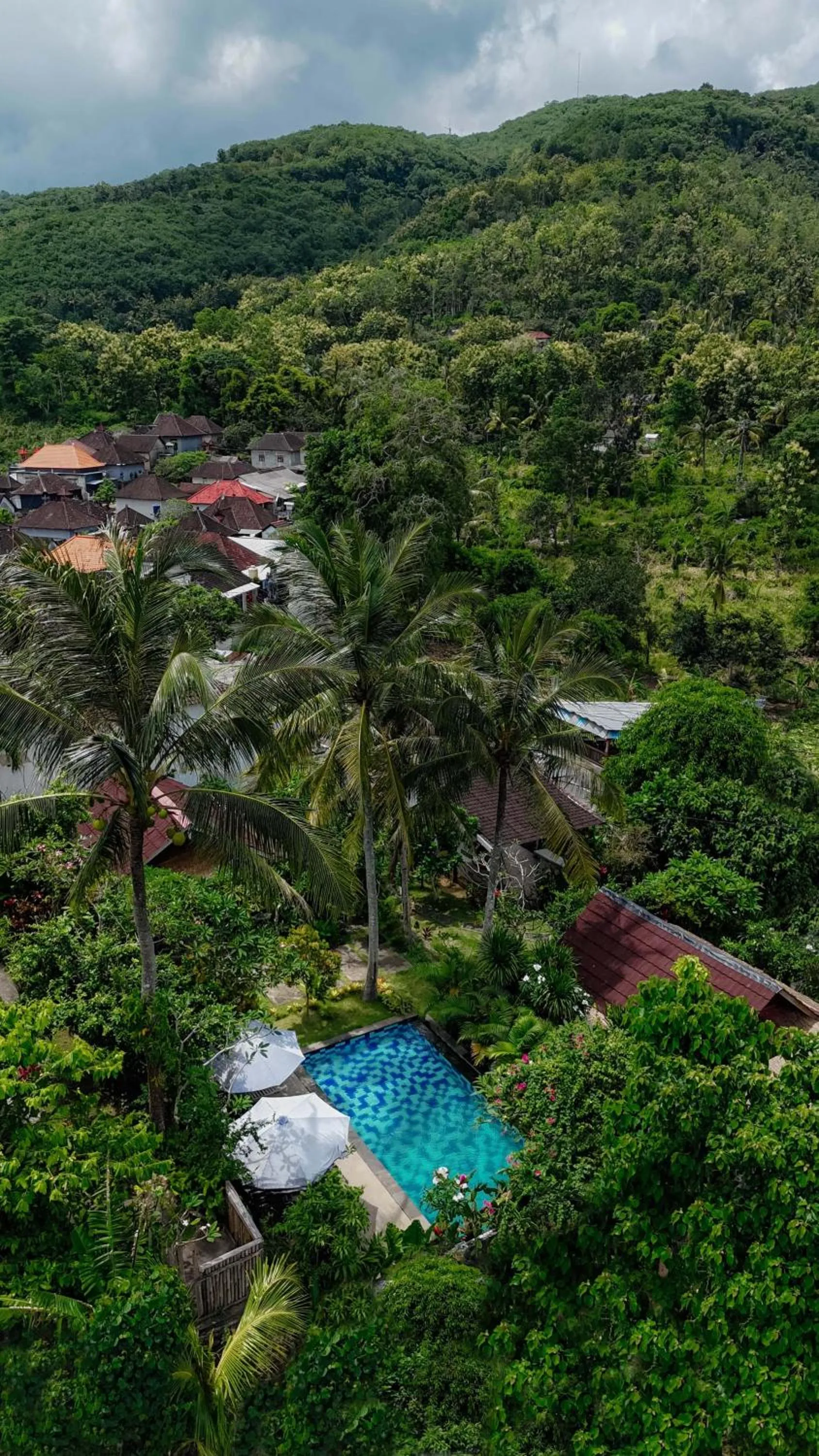 Mountain view in Bhavana Cottage