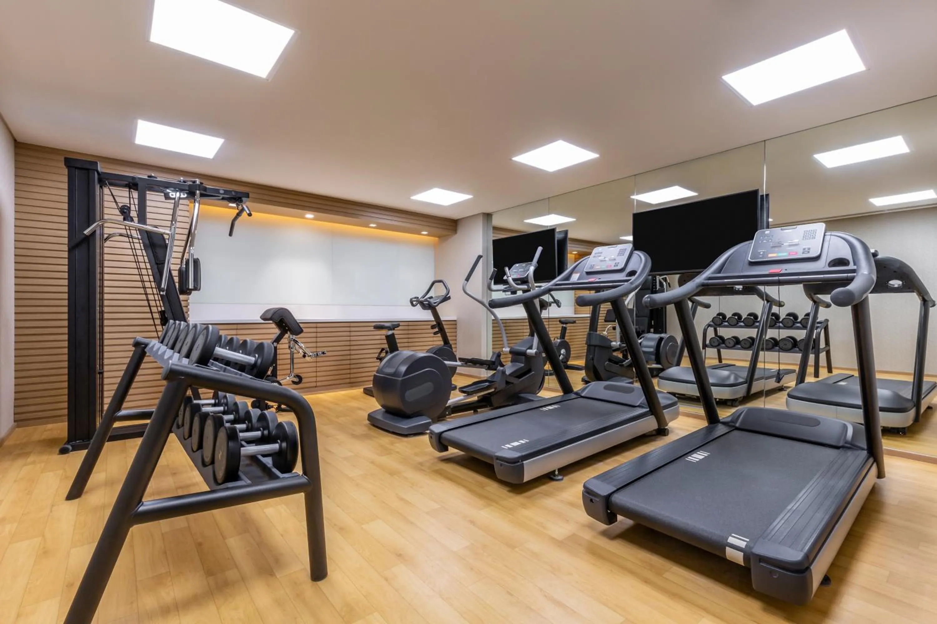 Fitness centre/facilities in Novotel Bur Dubai - Healthcare City