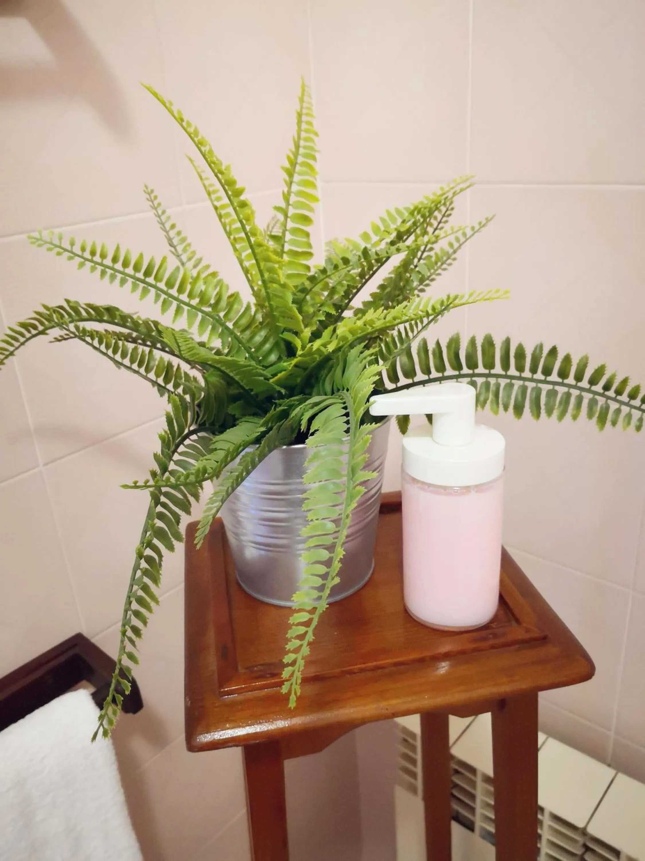 Shower in Hotel Corte Dal Castello