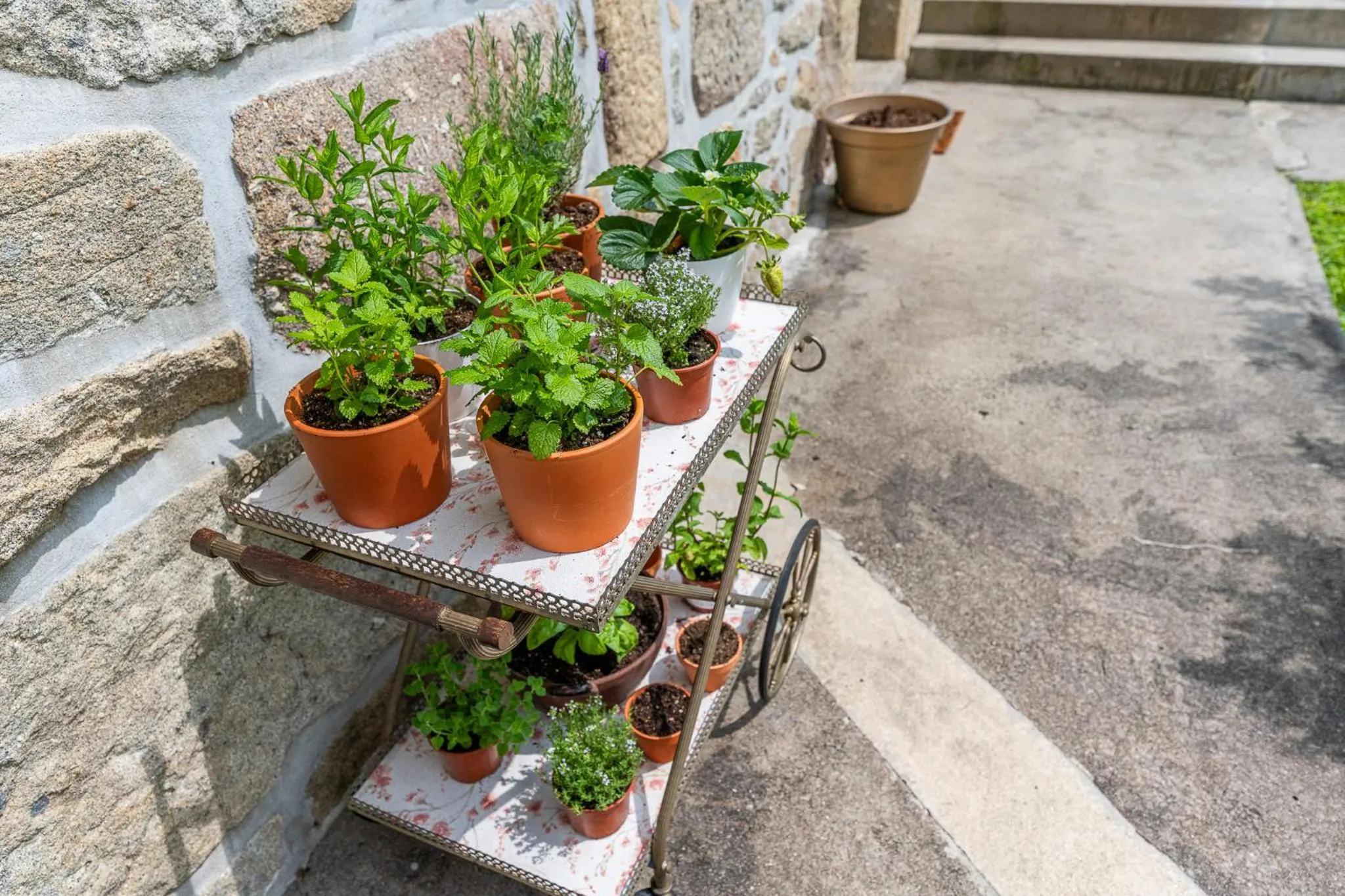 Restaurant/places to eat in Casa d'Amares