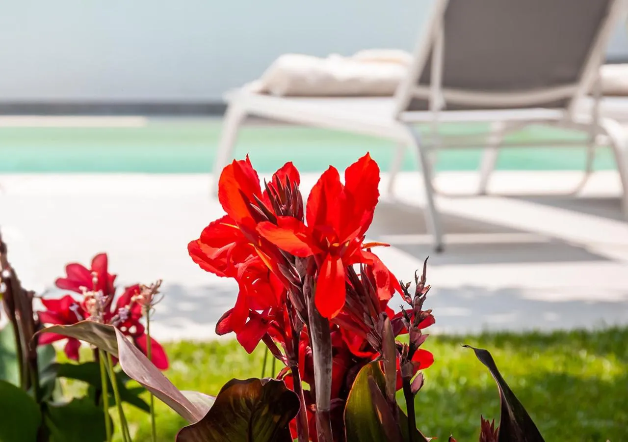 Property building in Epavli Boutique Hotel