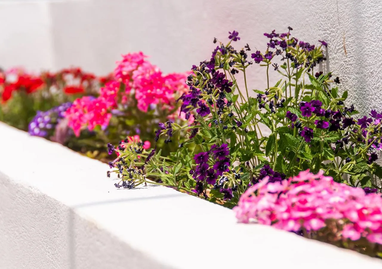 Day in Epavli Boutique Hotel