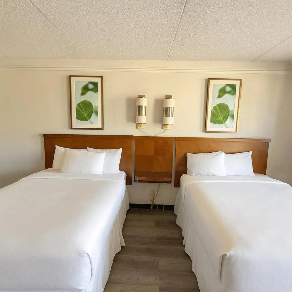 Bed in Horizon Inn Norcross