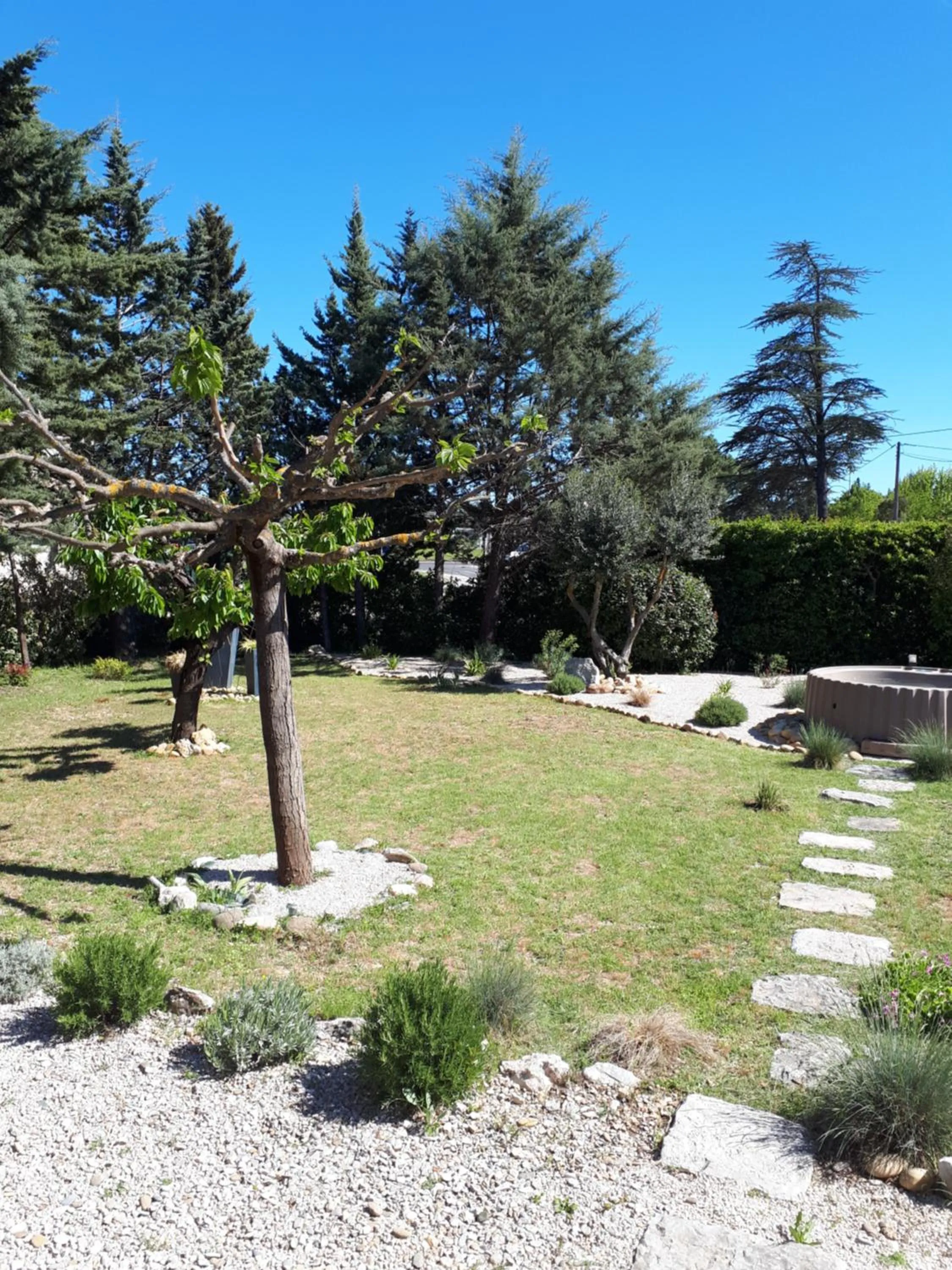 Decorative detail in Les Coronilles