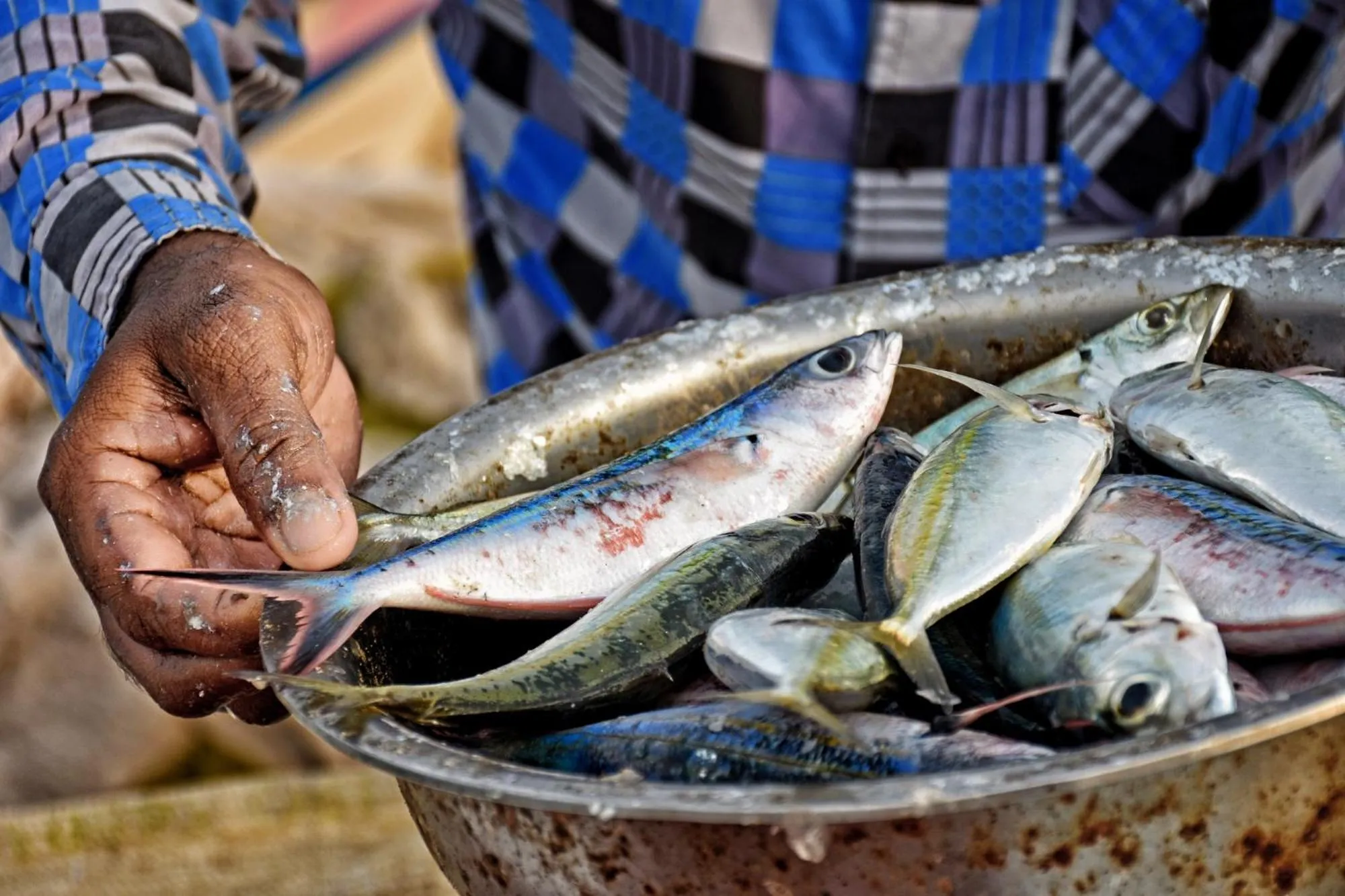 Fishing in Melheim Beach Kalpitiya