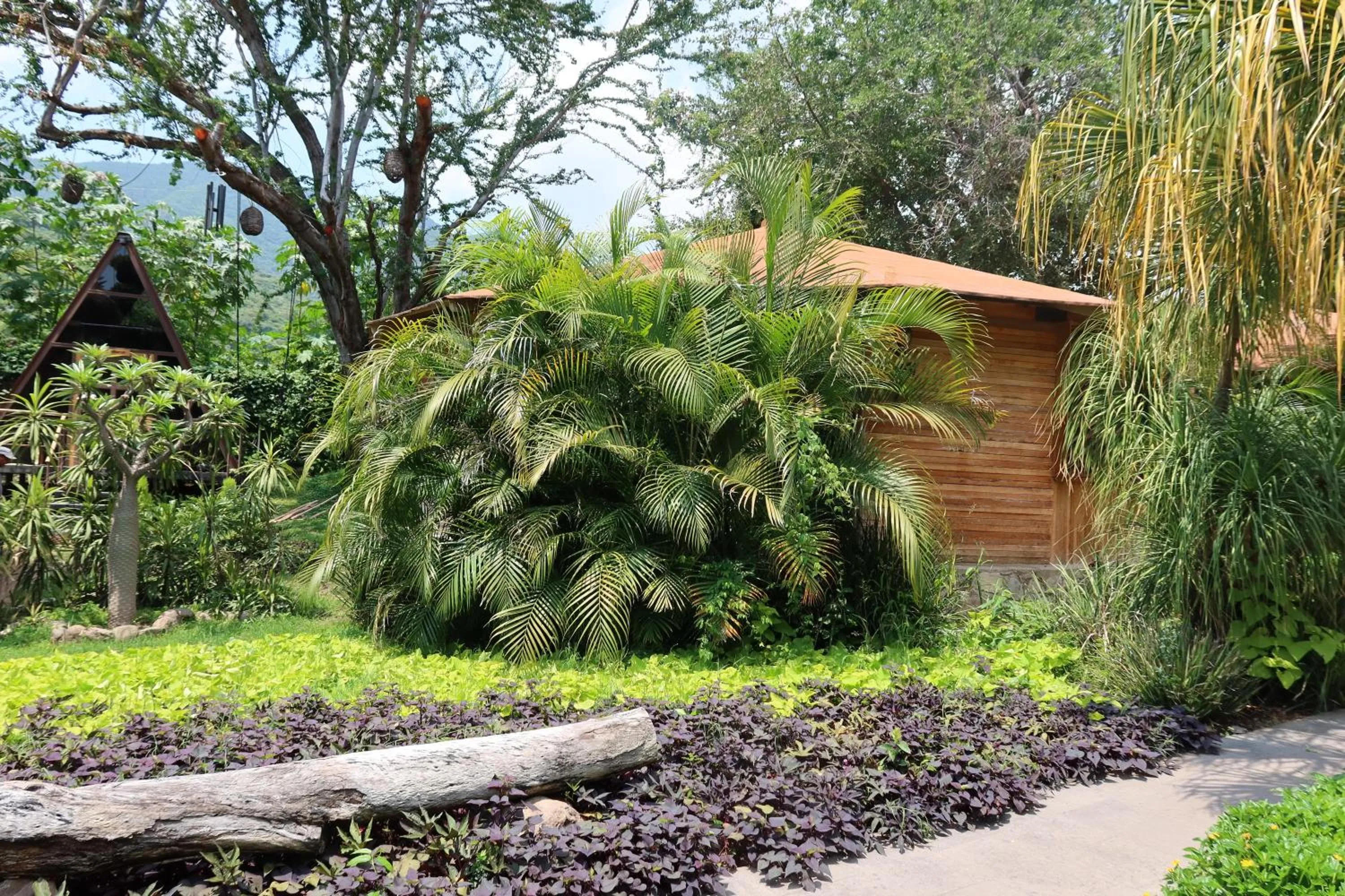 Villa Armonia Hotel & Spa