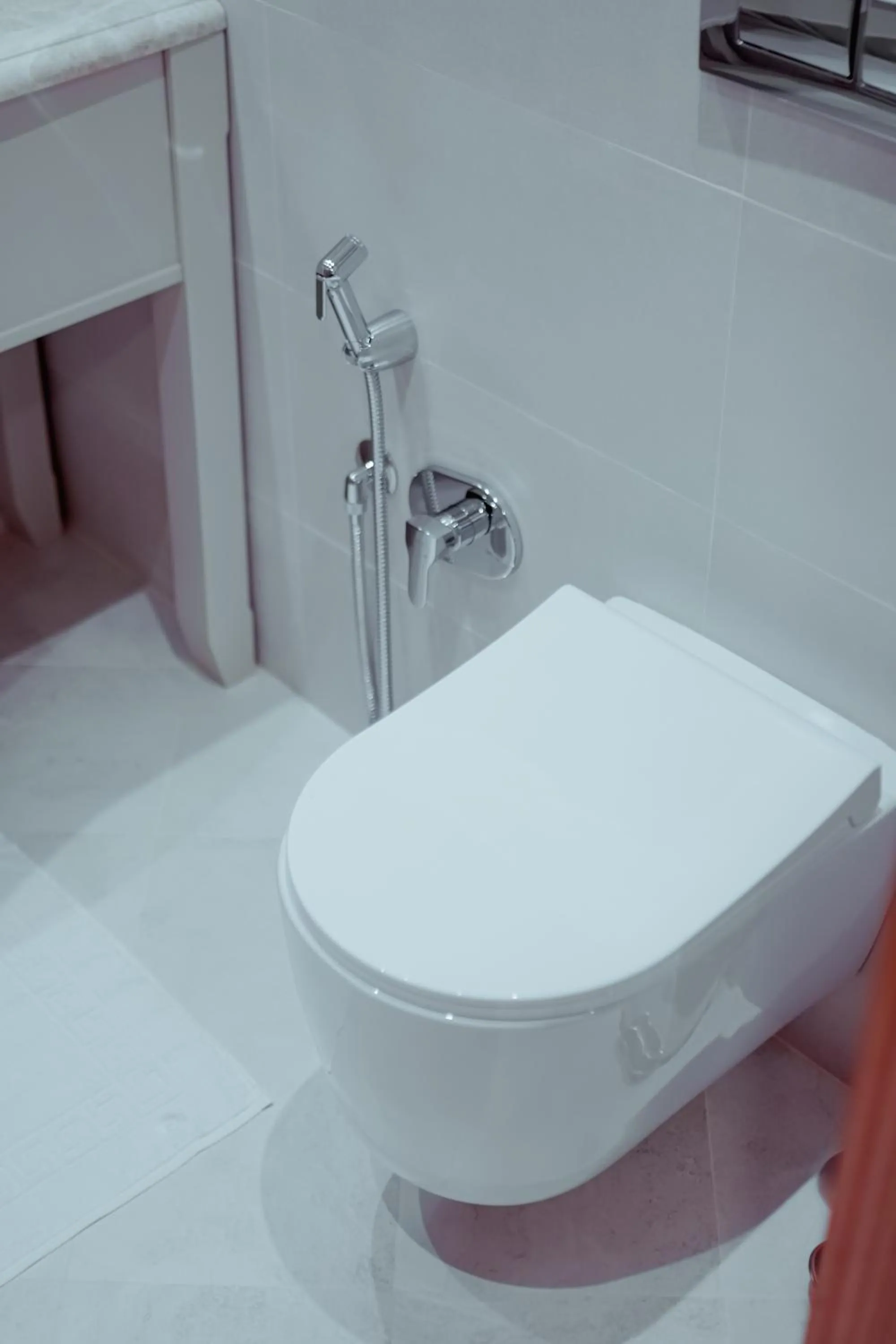 Toilet in Khazar Inji Hotel