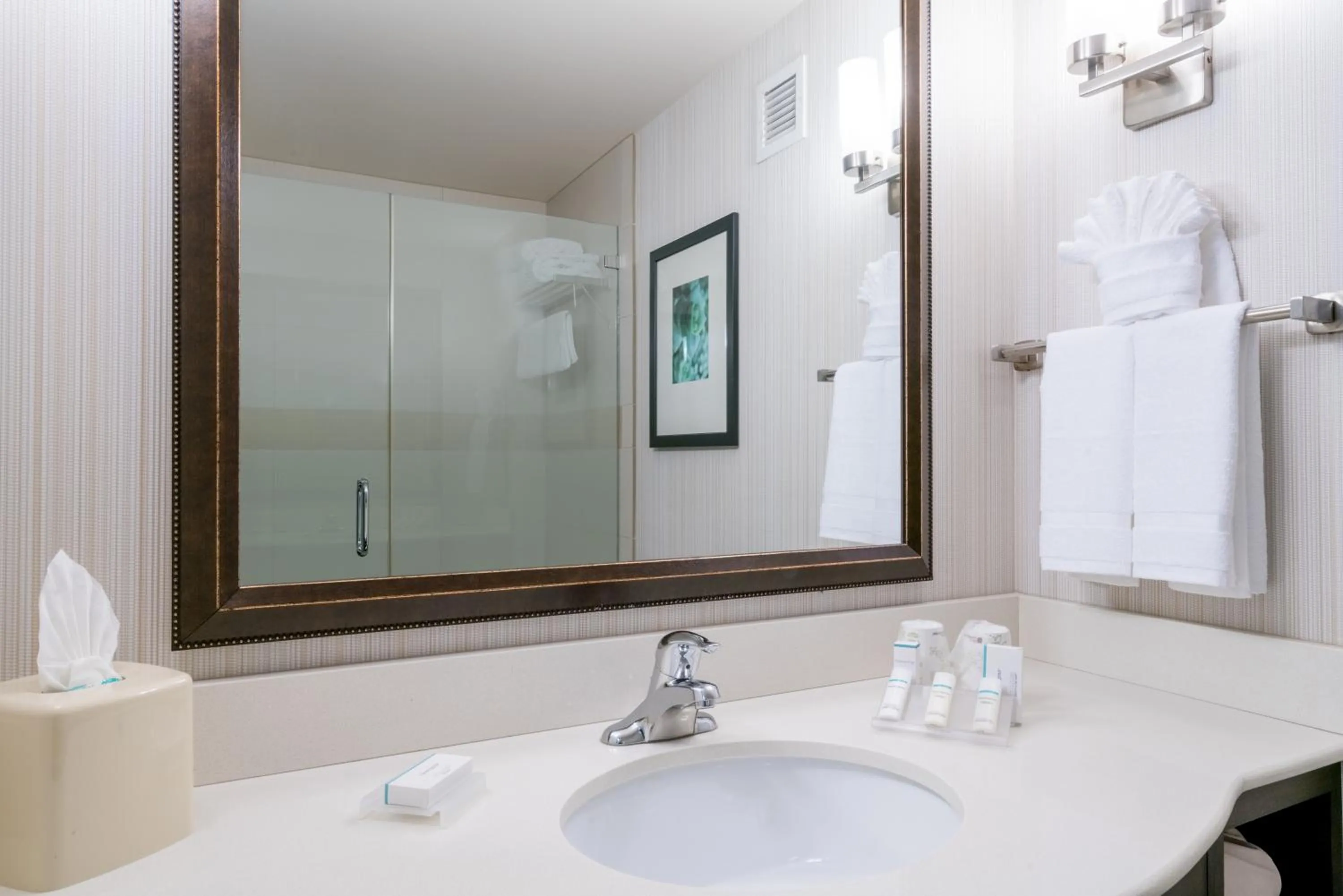 Bathroom in Hilton Garden Inn Valley Forge/Oaks
