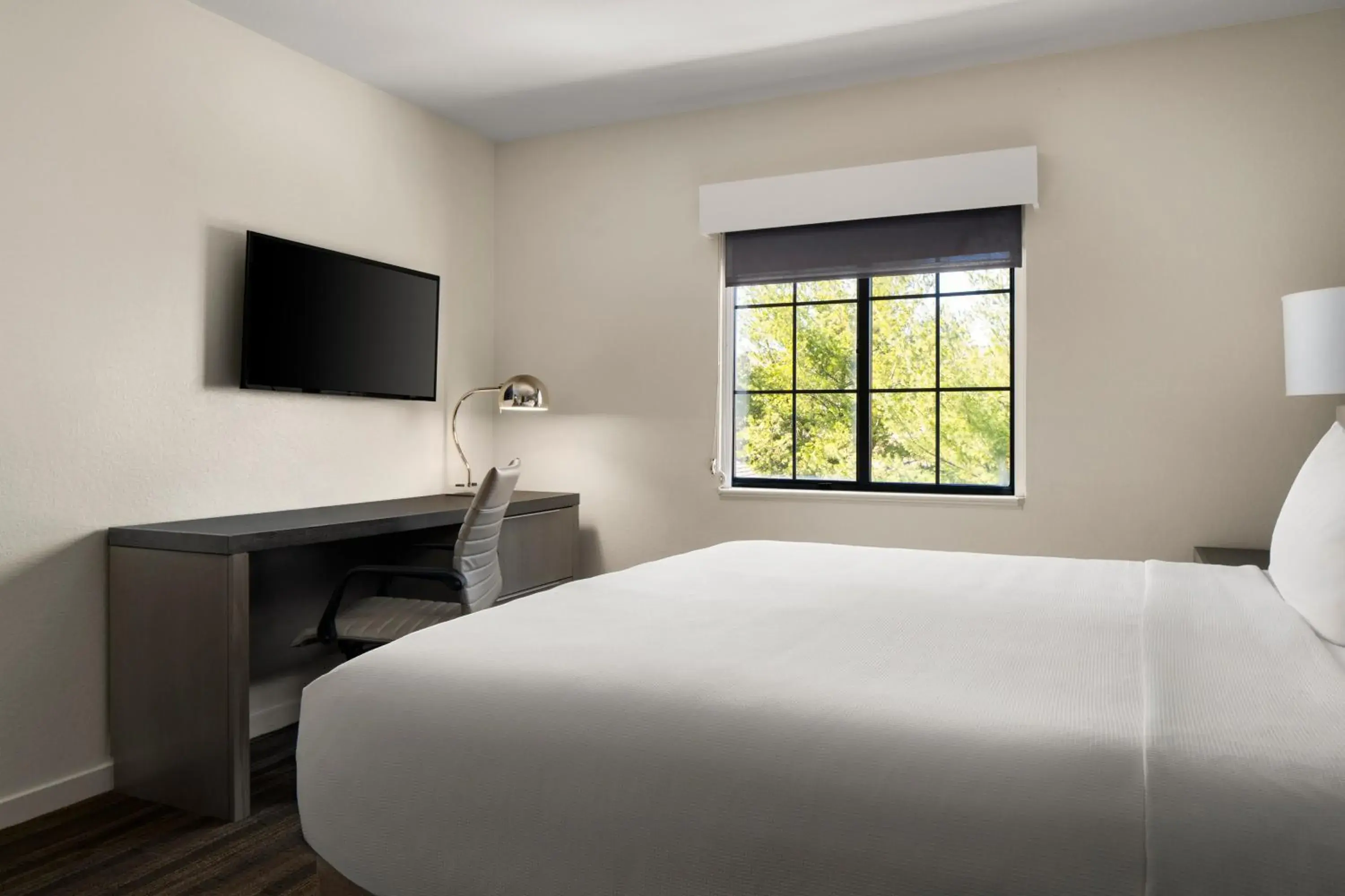 King Room in Hyatt House Boston Waltham King Room in Hyatt House Boston Waltham