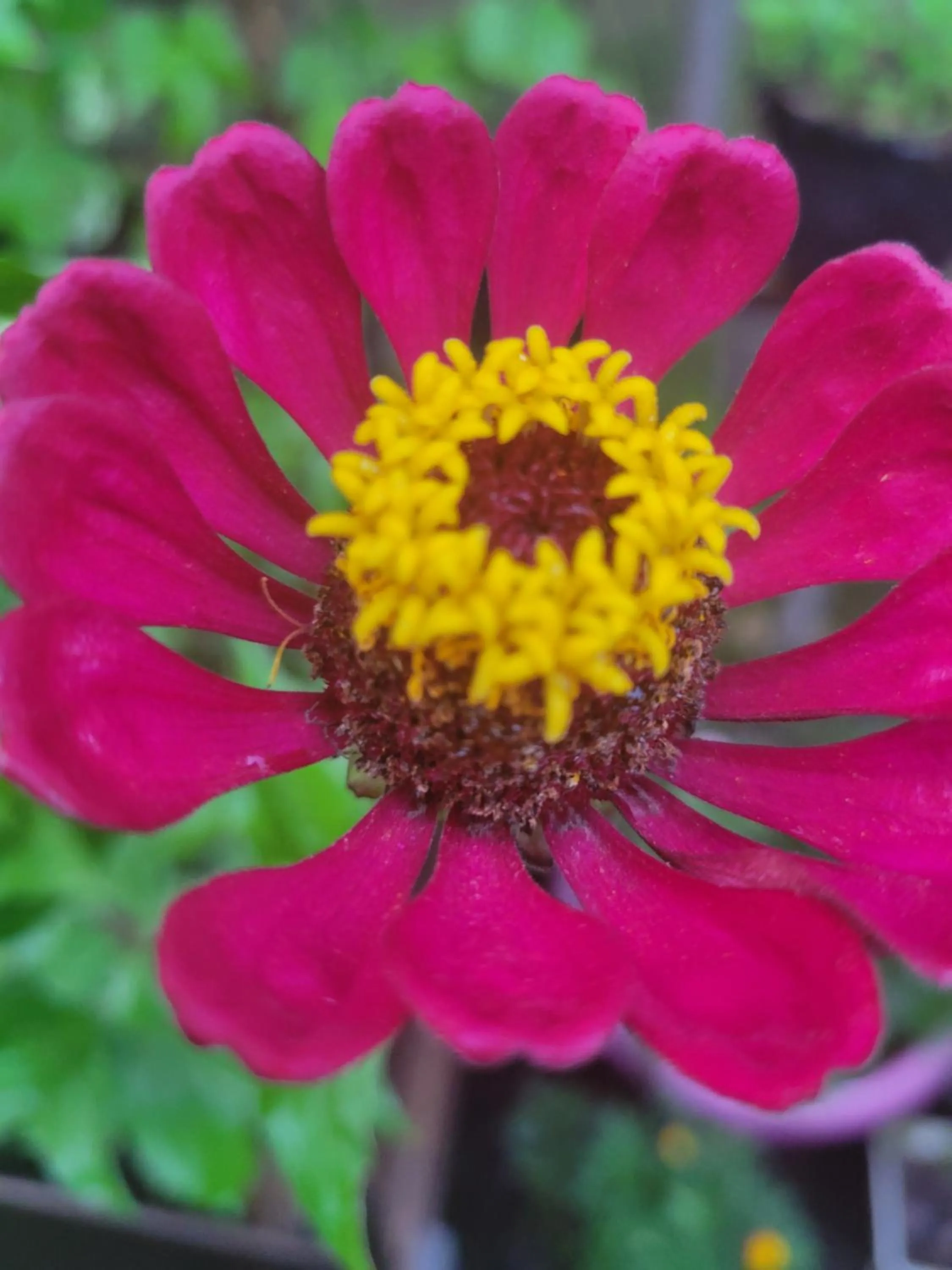 Day in Evening Shade Inn