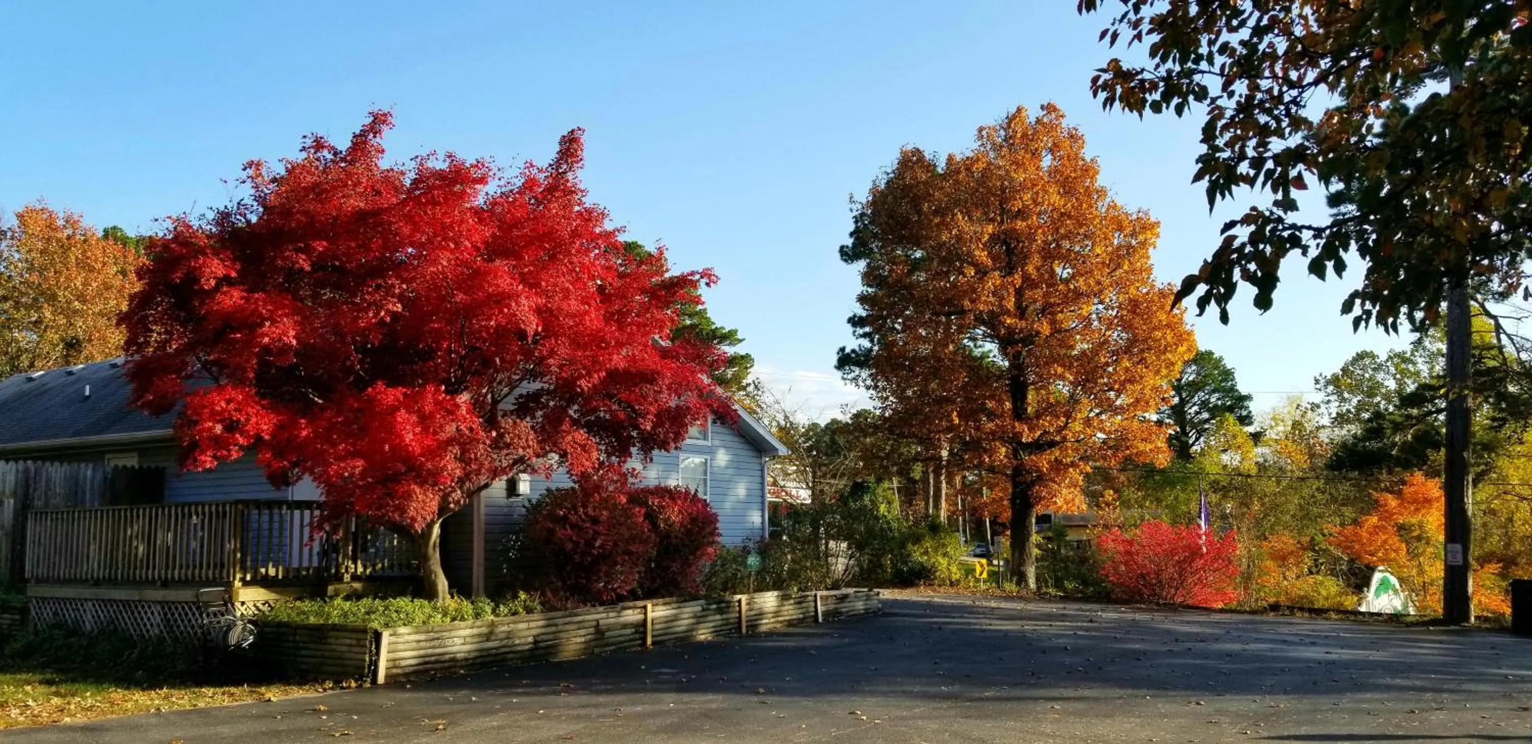 Property building in Evening Shade Inn
