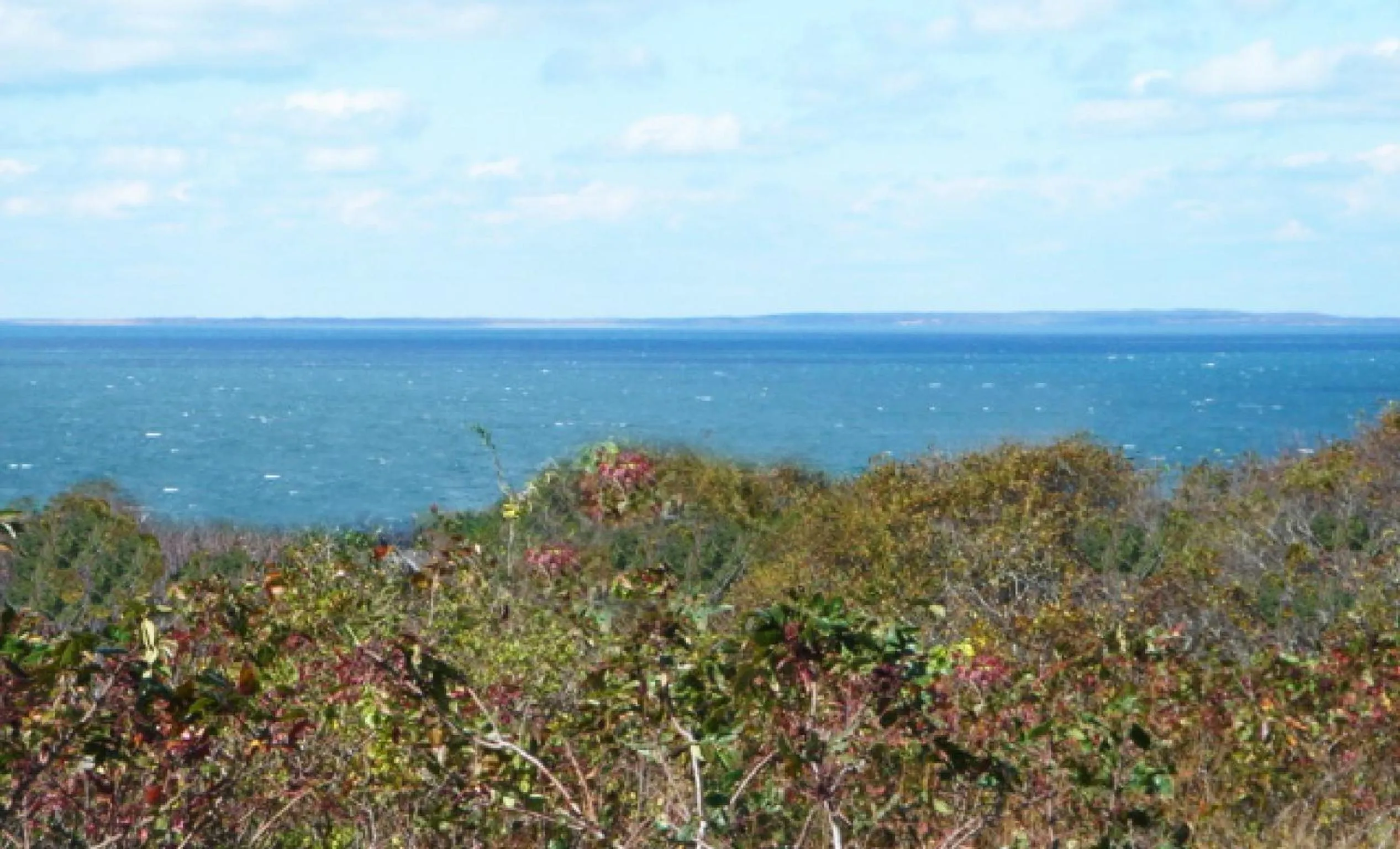Beach in Montauk Manor
