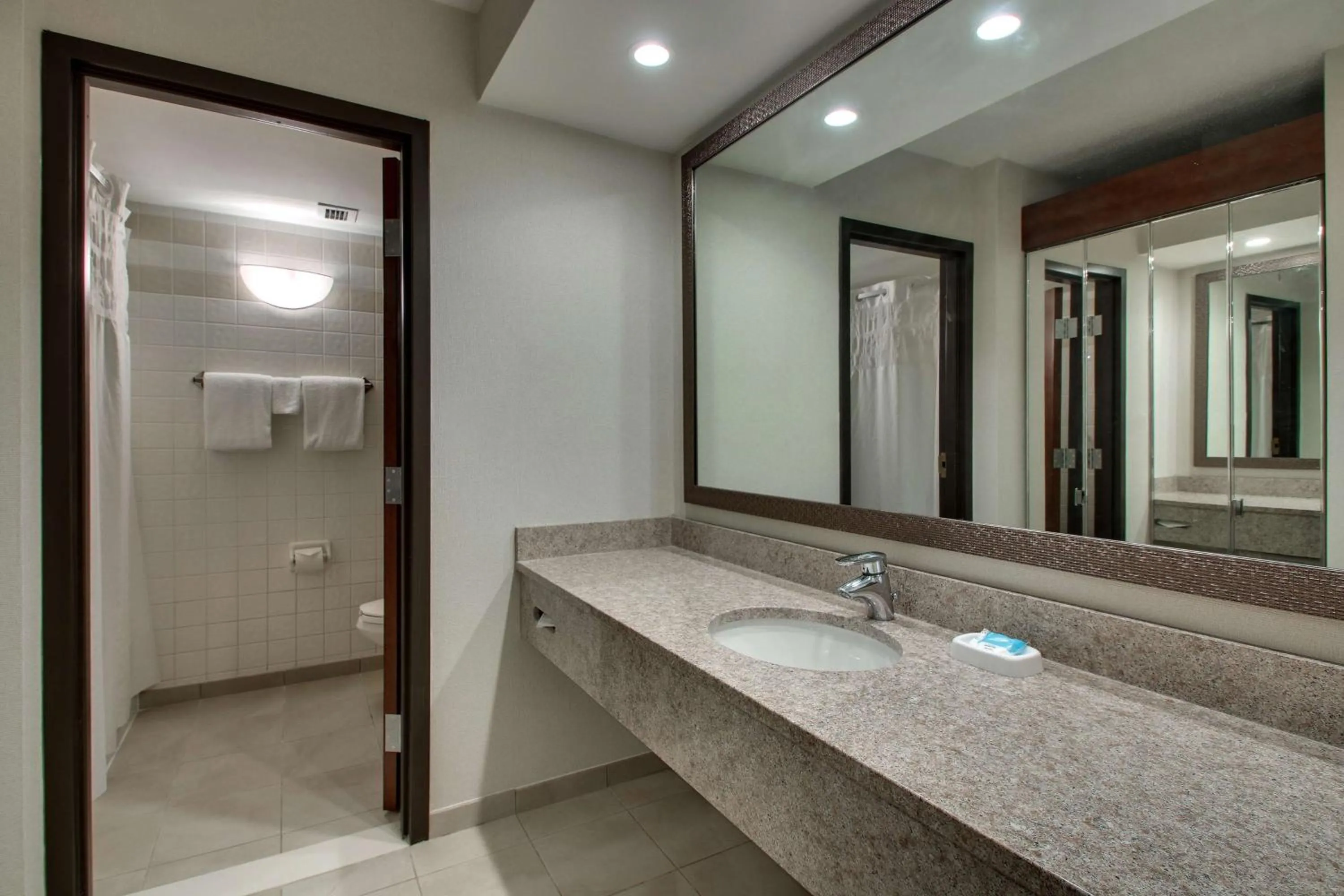 Bathroom in Drury Inn & Suites Bowling Green