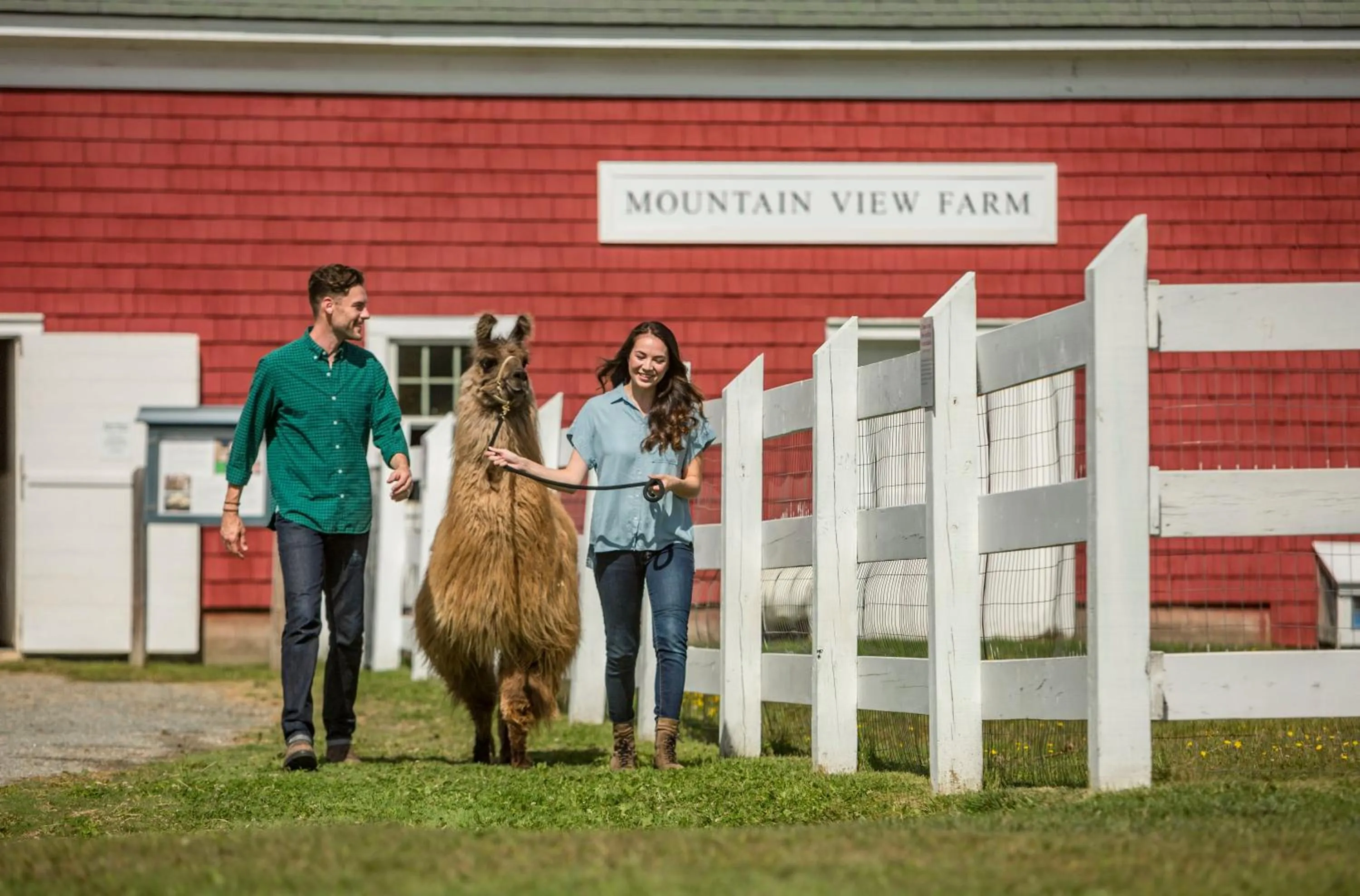 People in Mountain View Grand Resort & Spa