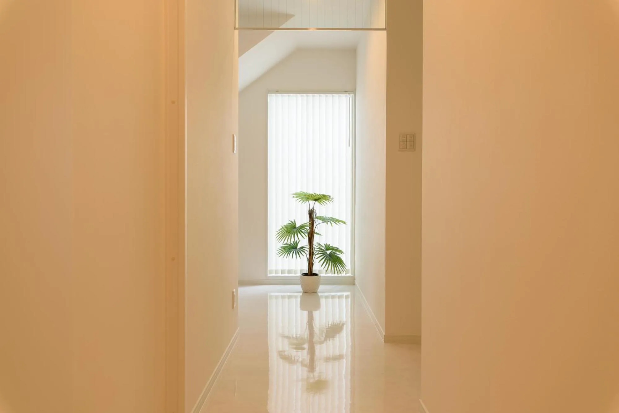 Other in Jacuzzi Terrace Okinawa IMS