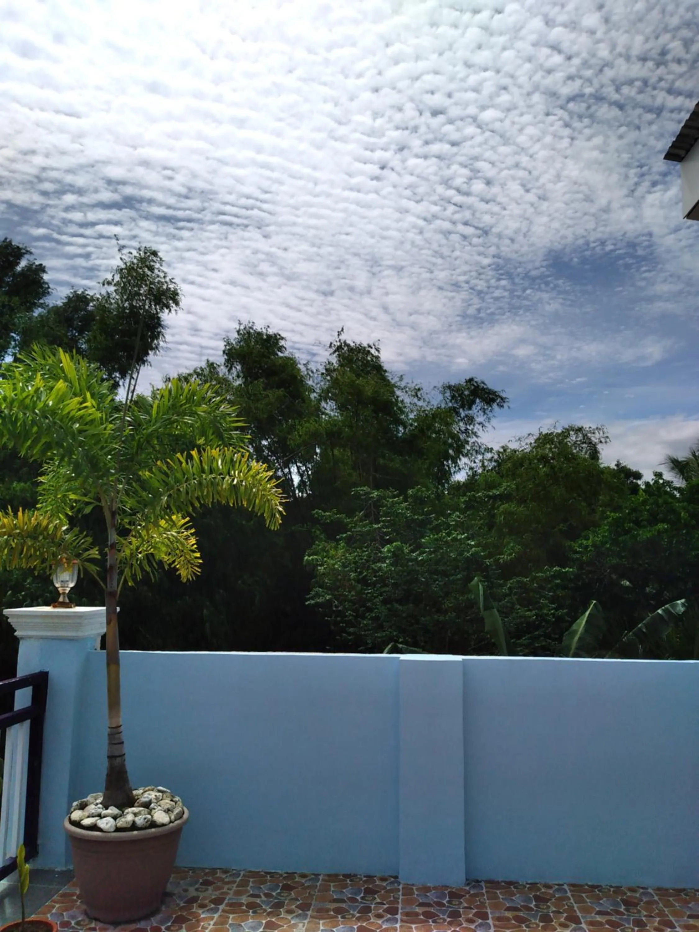 Azulea Lodging House Oslob