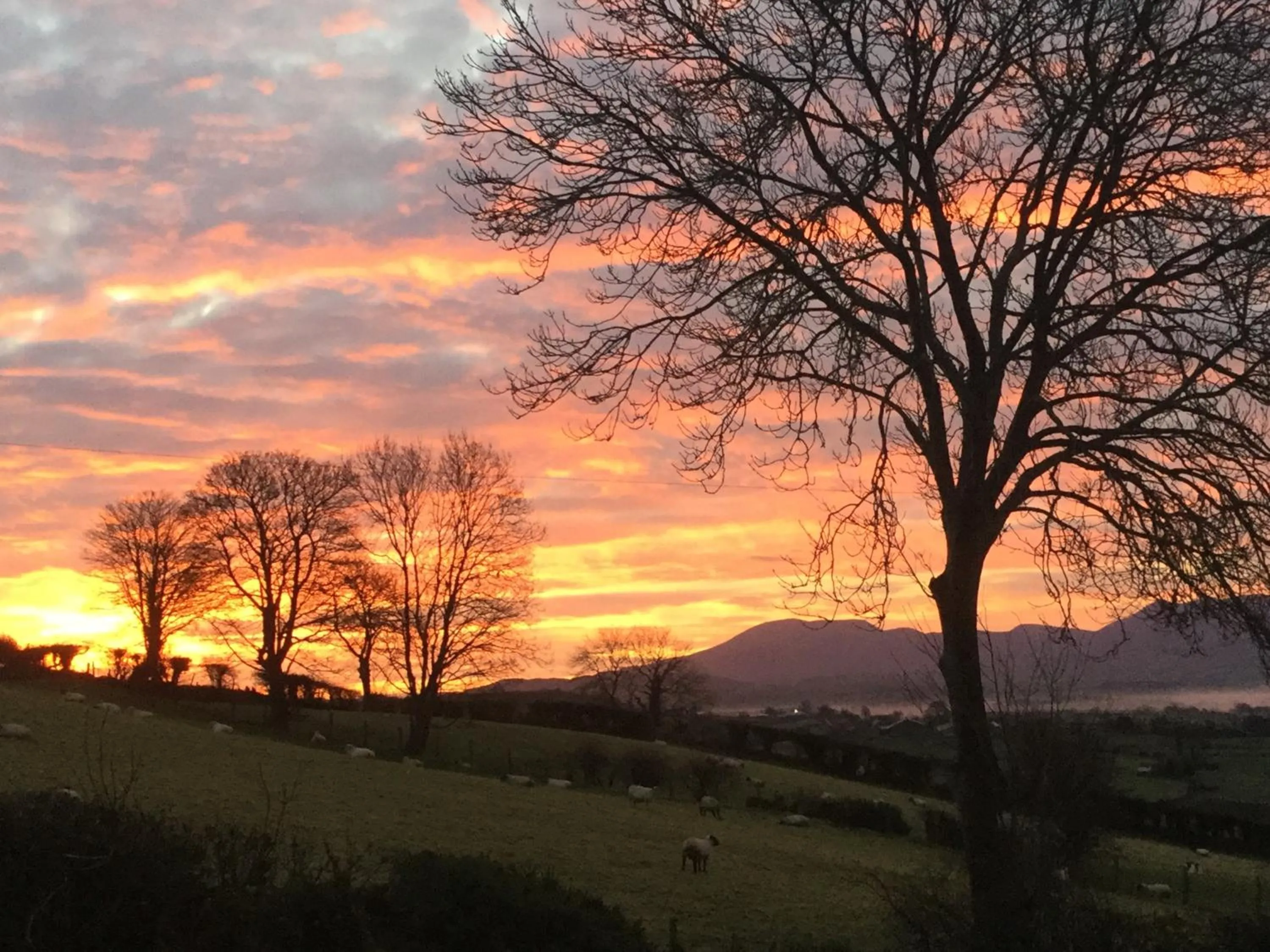 Sunrise/Sunset in The View at 37 B&B