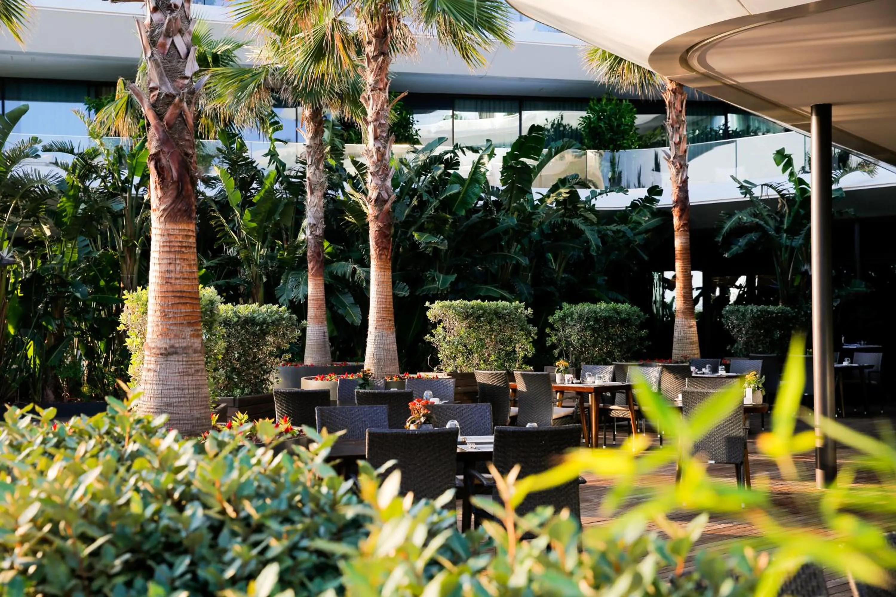 Restaurant/places to eat in Reges, a Luxury Collection Resort & Spa, Cesme