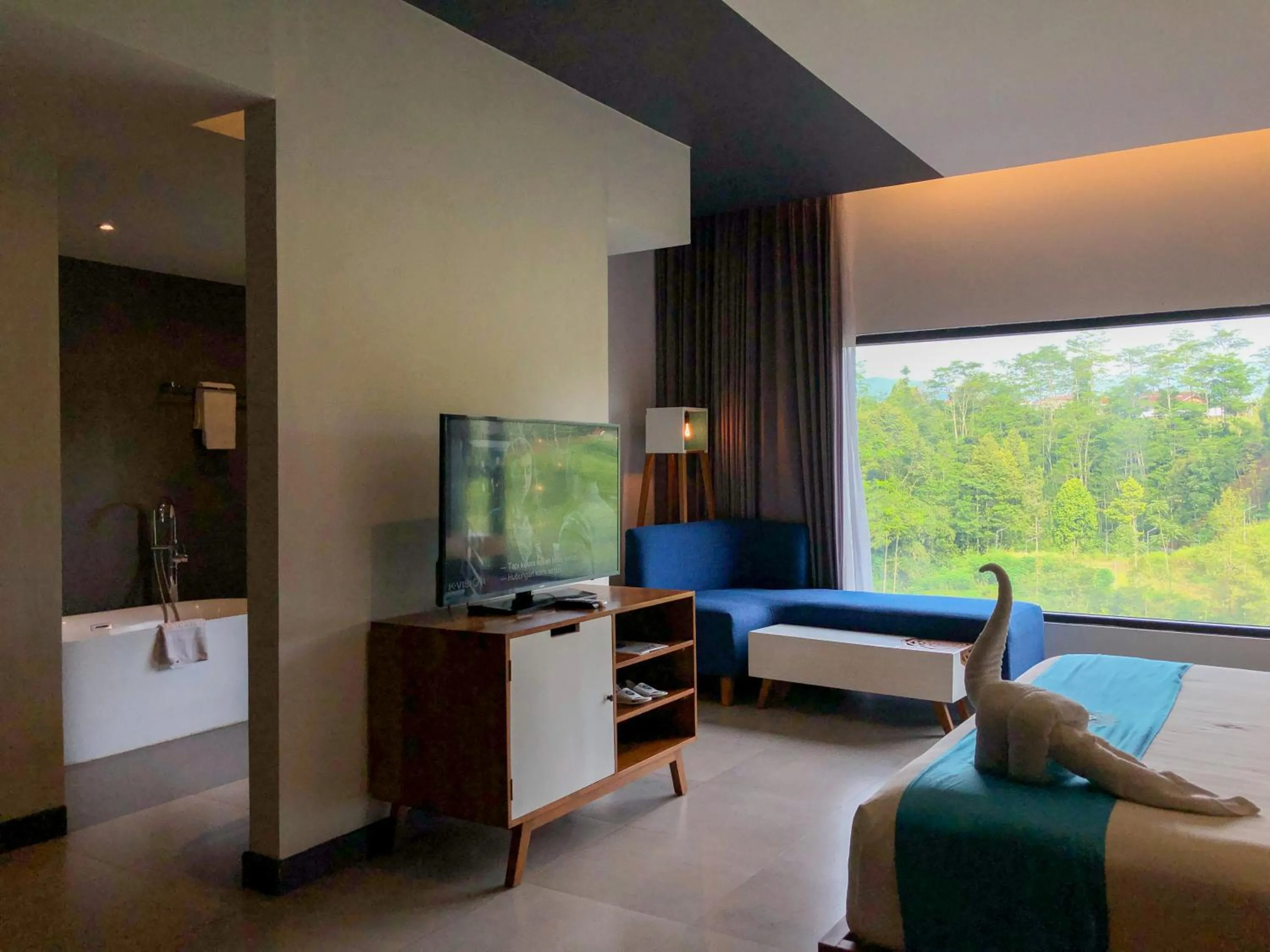 TV and multimedia in Hotel Dafam Wonosobo