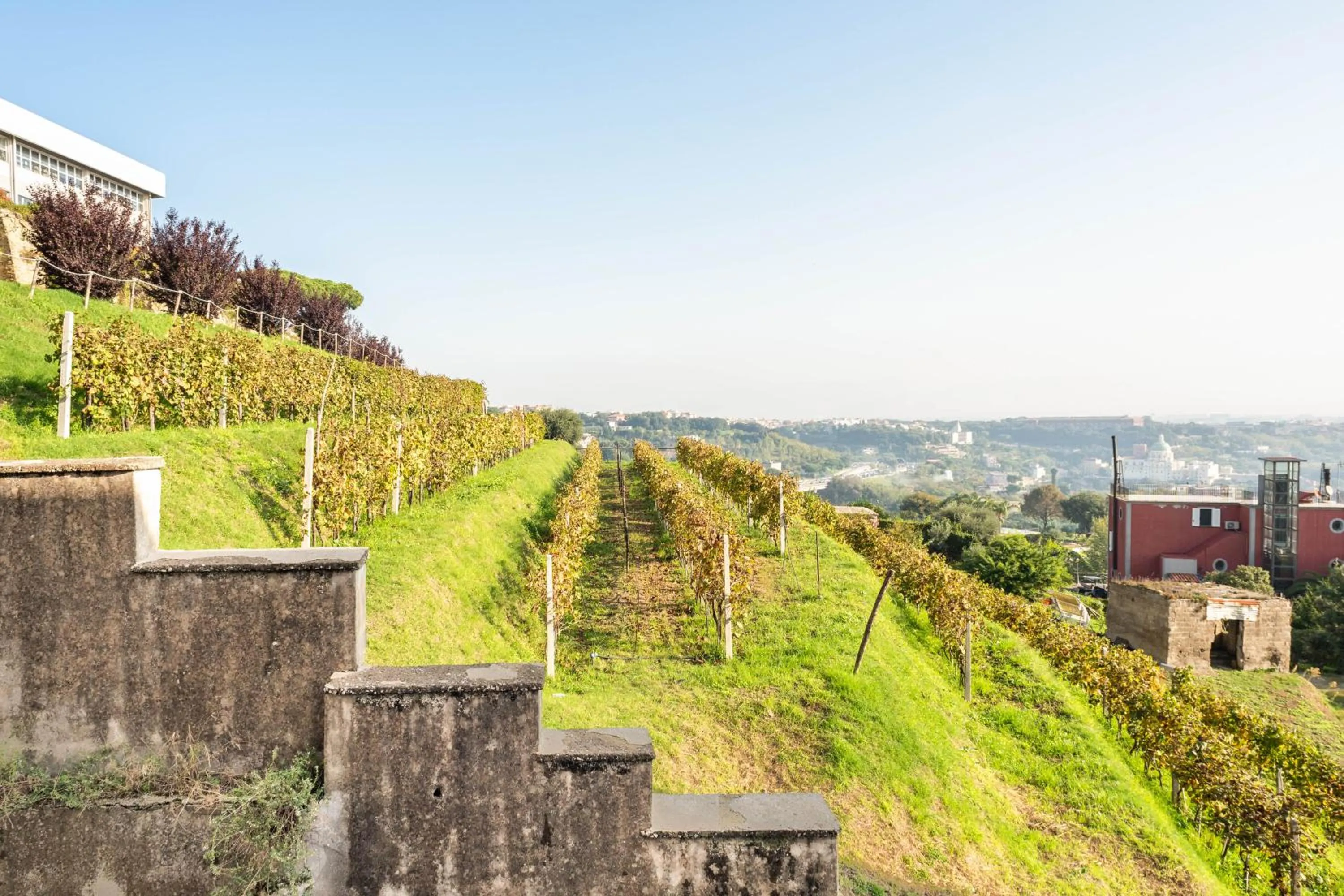 Spring in B&B Pacifico