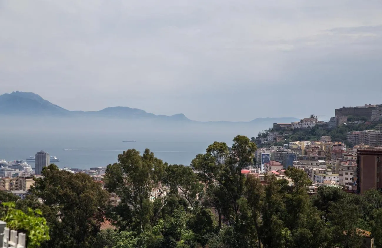 Natural landscape in B&B Pacifico