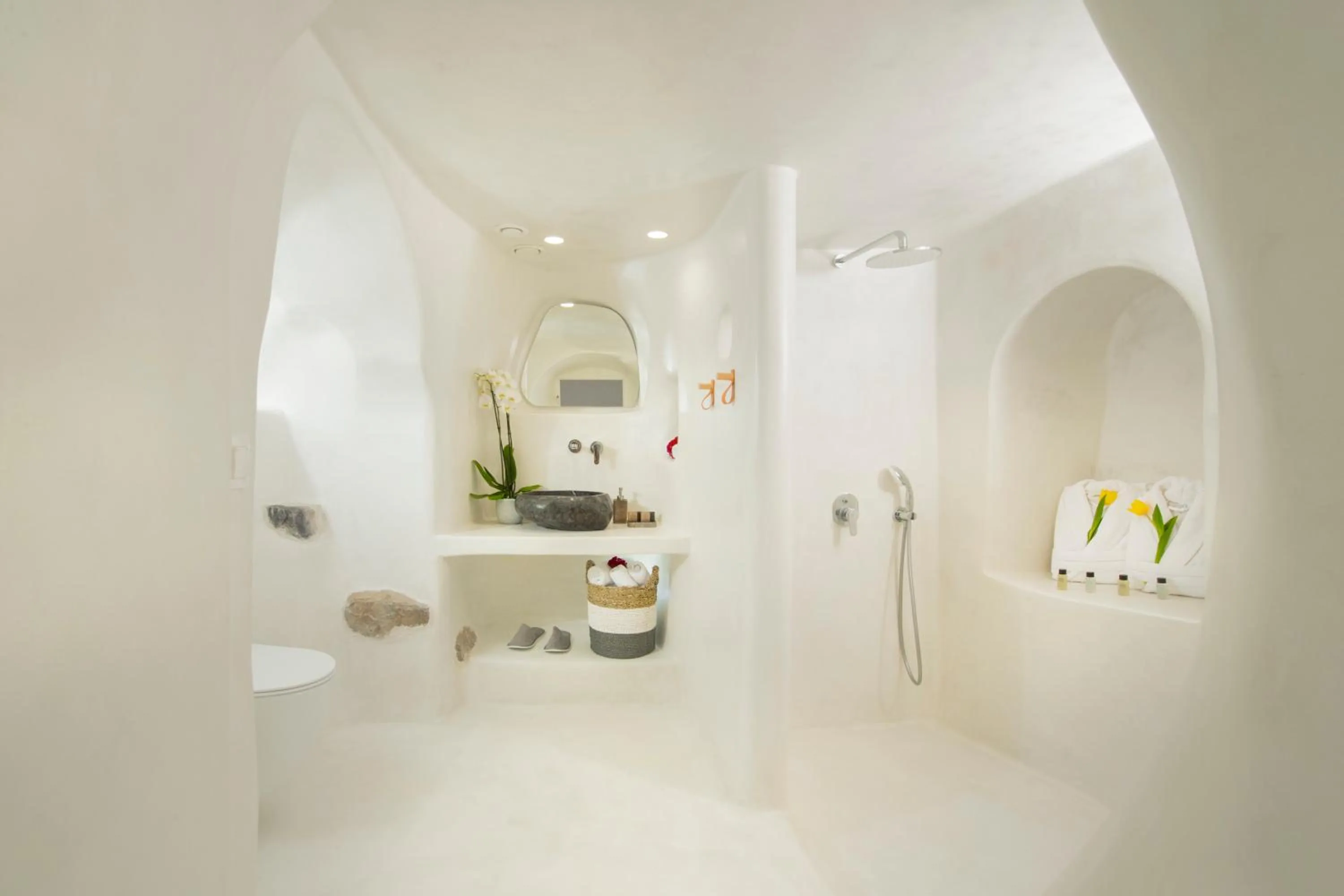 Shower in Nano Suites