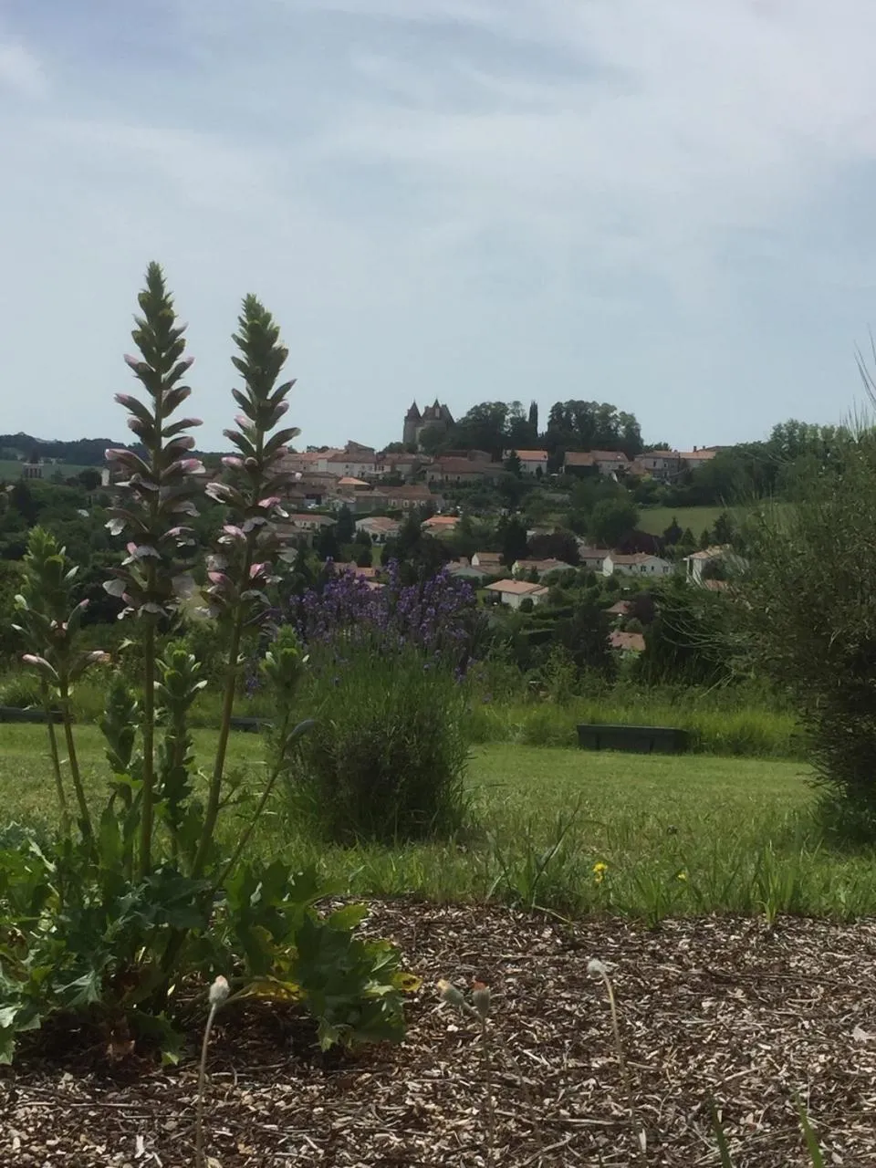 Natural landscape in MONTISMAURELLI
