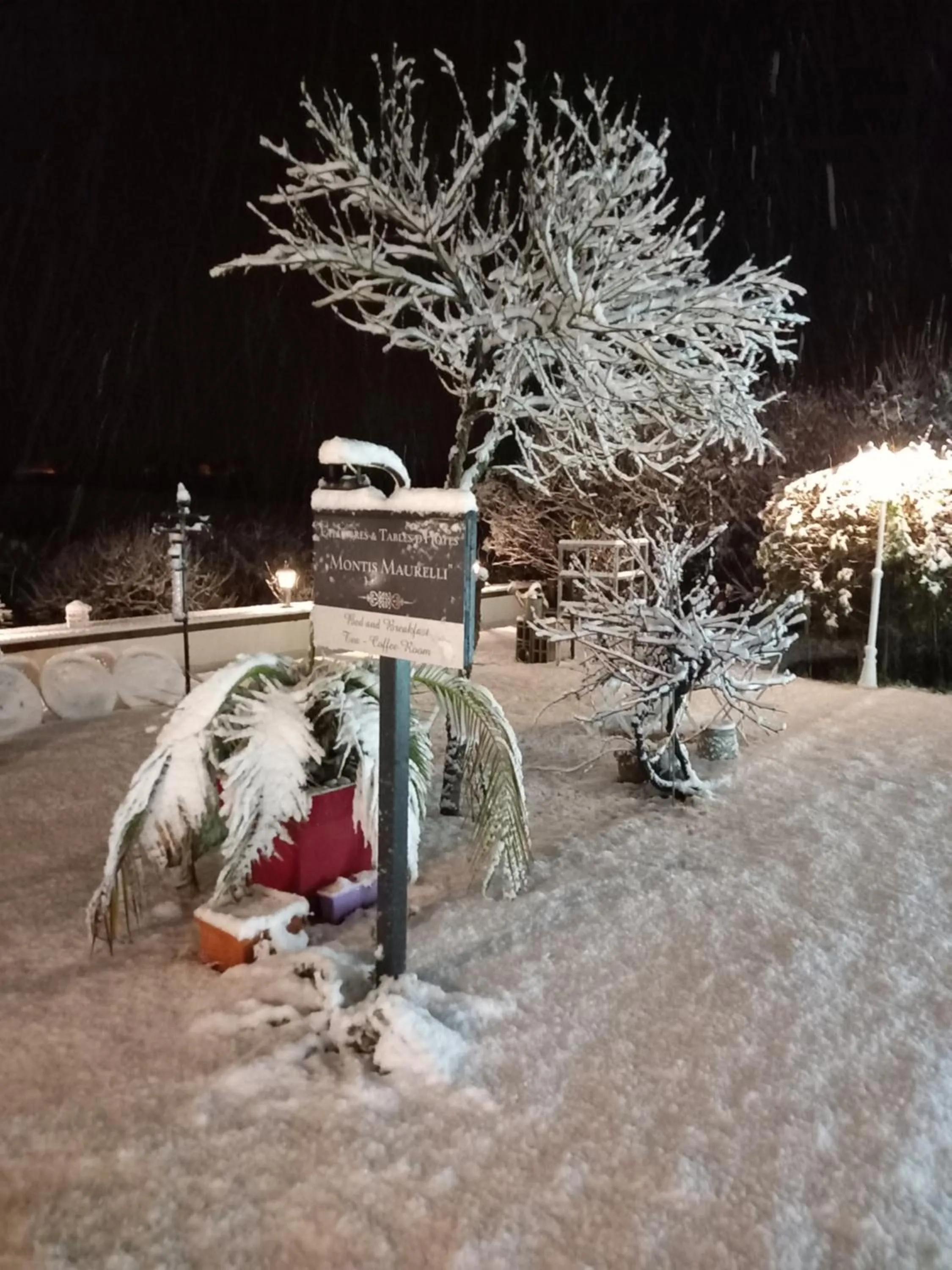 Patio in MONTISMAURELLI