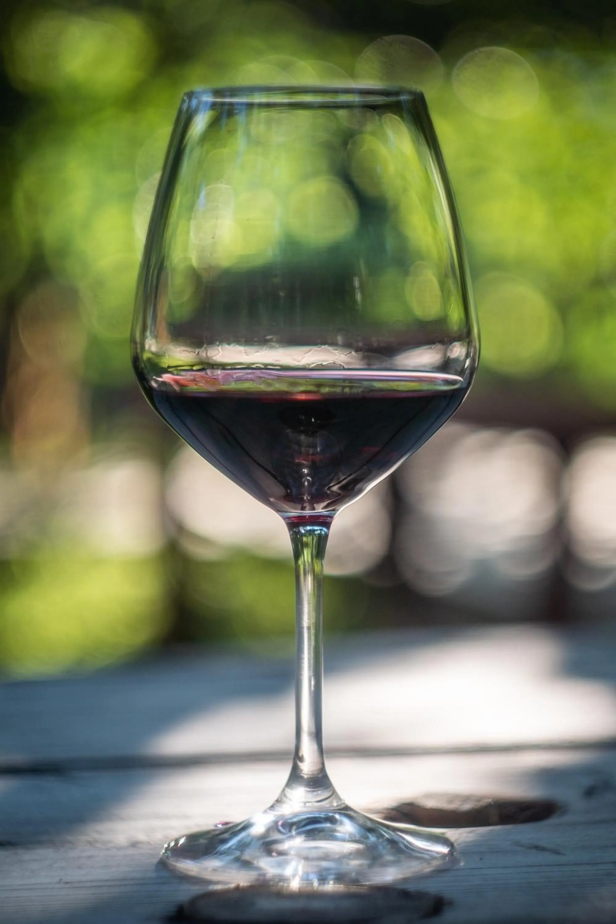 Food and drinks in Hotel Borklad