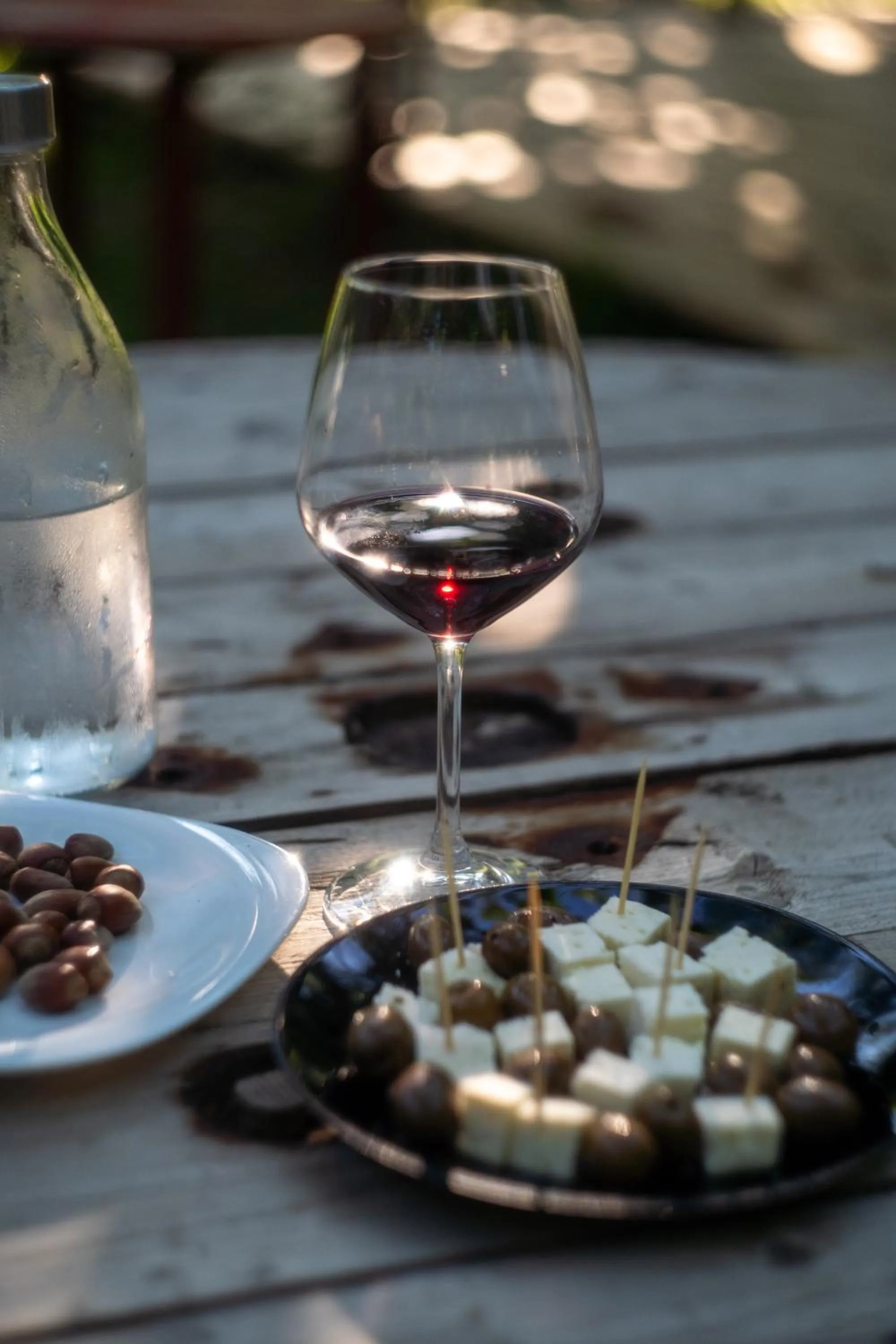 Food and drinks in Hotel Borklad