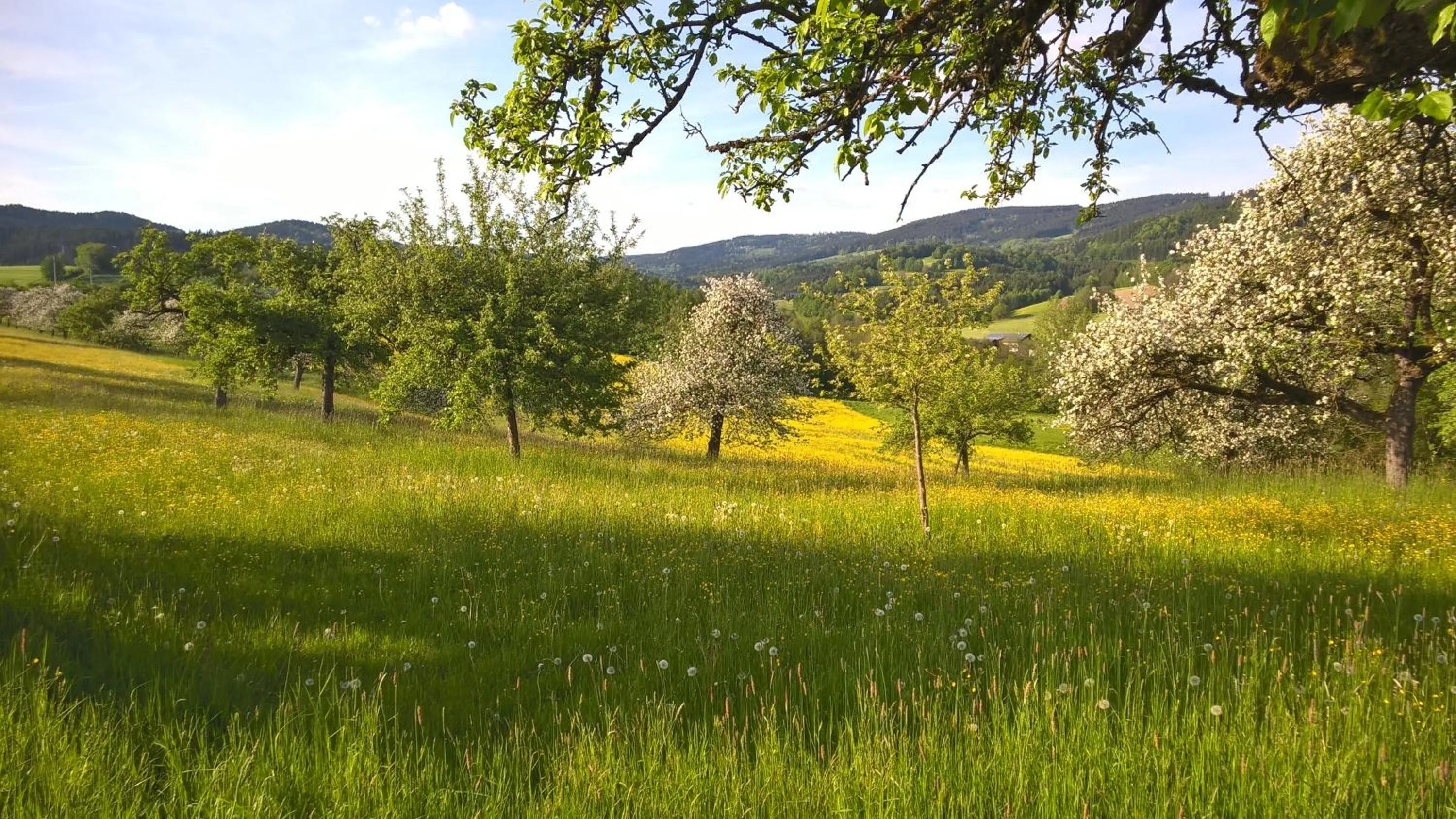 Natural landscape in Ferien vom Ich, Bayerischer Wald, Hotel & Restaurant
