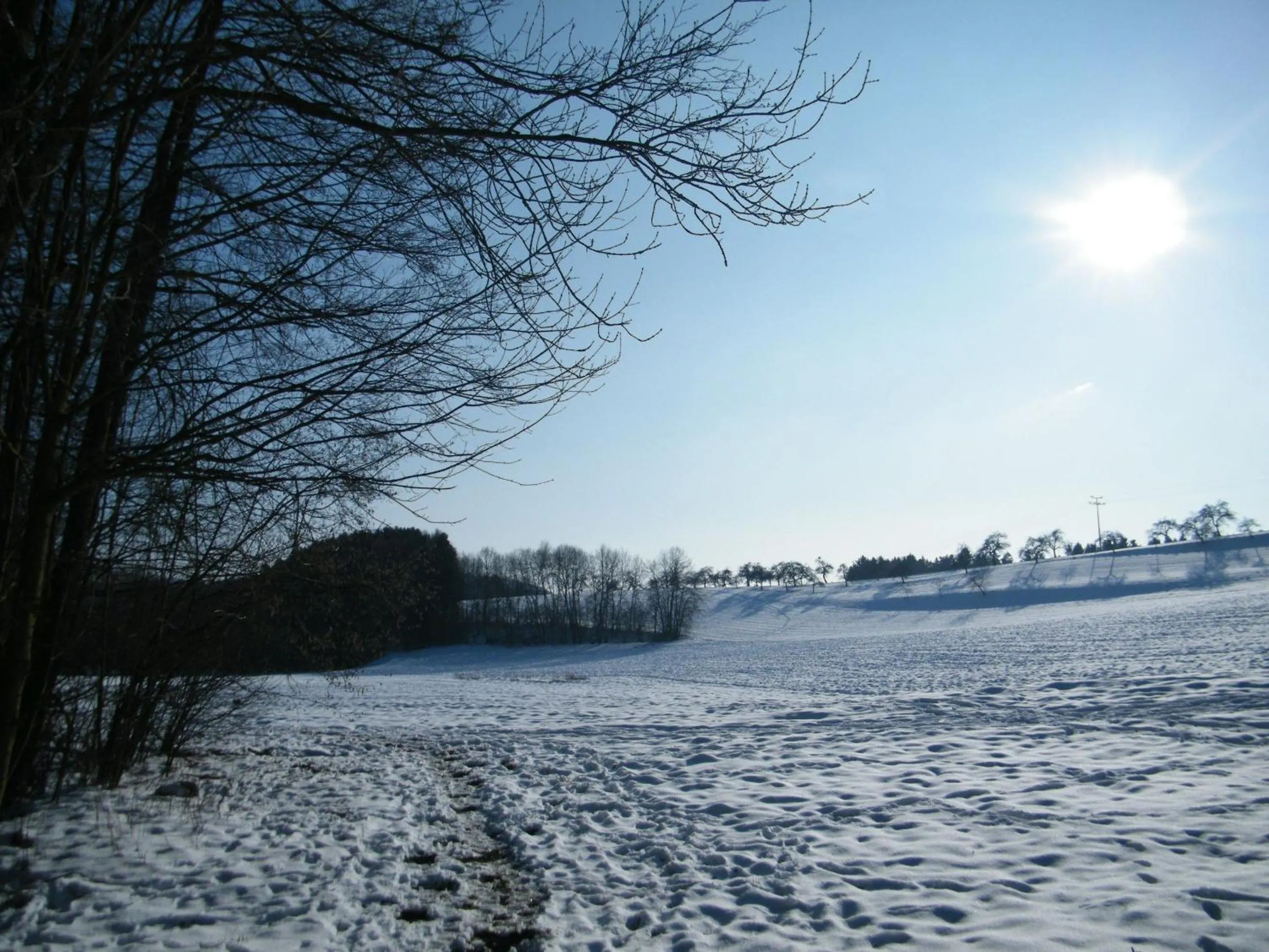 Natural landscape in Ferien vom Ich, Bayerischer Wald, Hotel & Restaurant