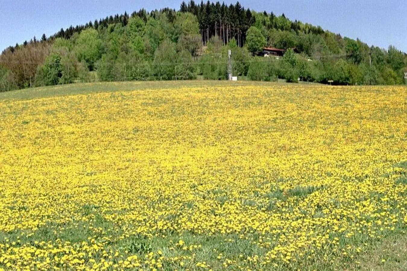 Natural landscape in Ferien vom Ich, Bayerischer Wald, Hotel & Restaurant