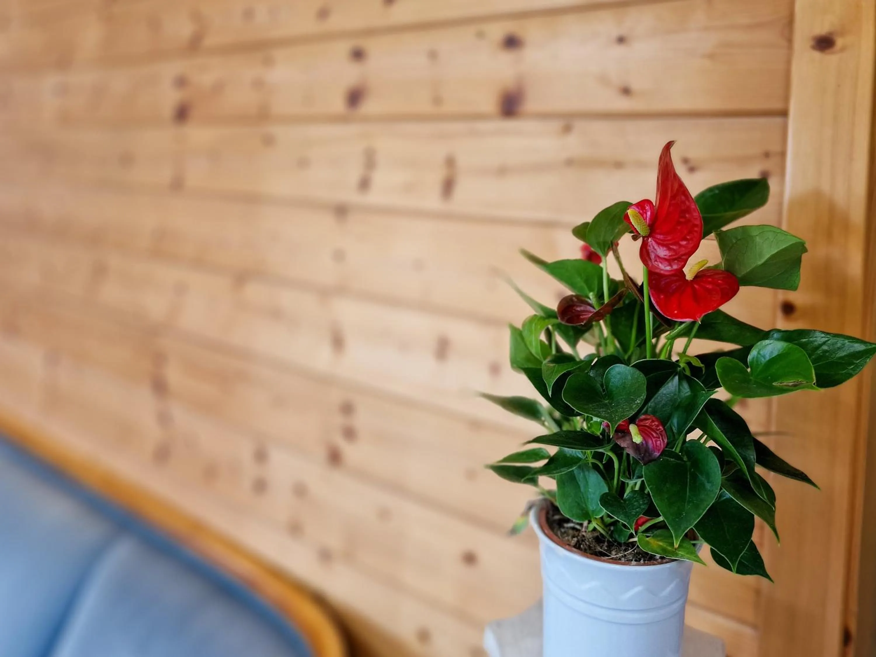 Lobby or reception in Ferien vom Ich, Bayerischer Wald, Hotel & Restaurant