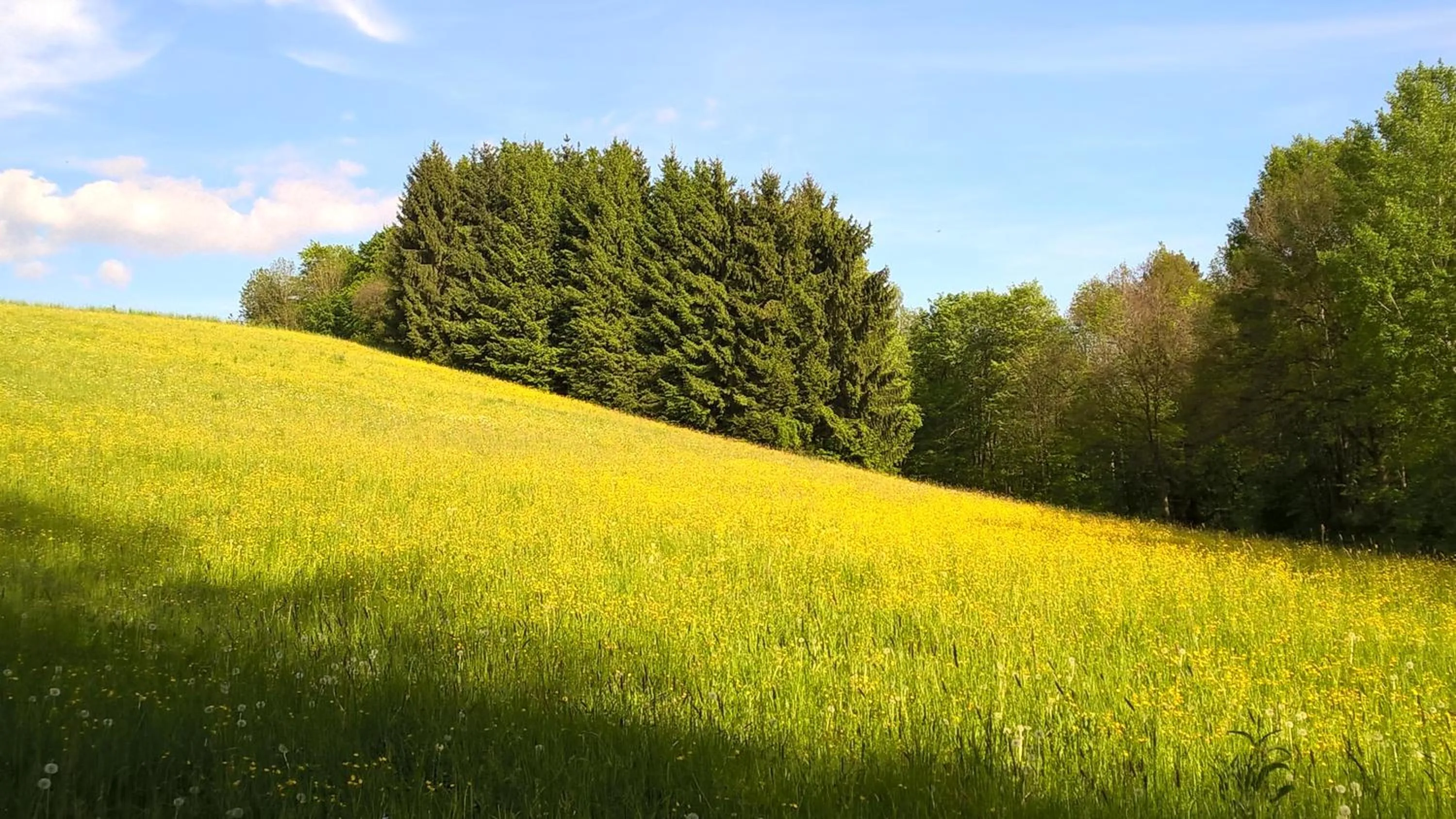 Natural landscape in Ferien vom Ich, Bayerischer Wald, Hotel & Restaurant