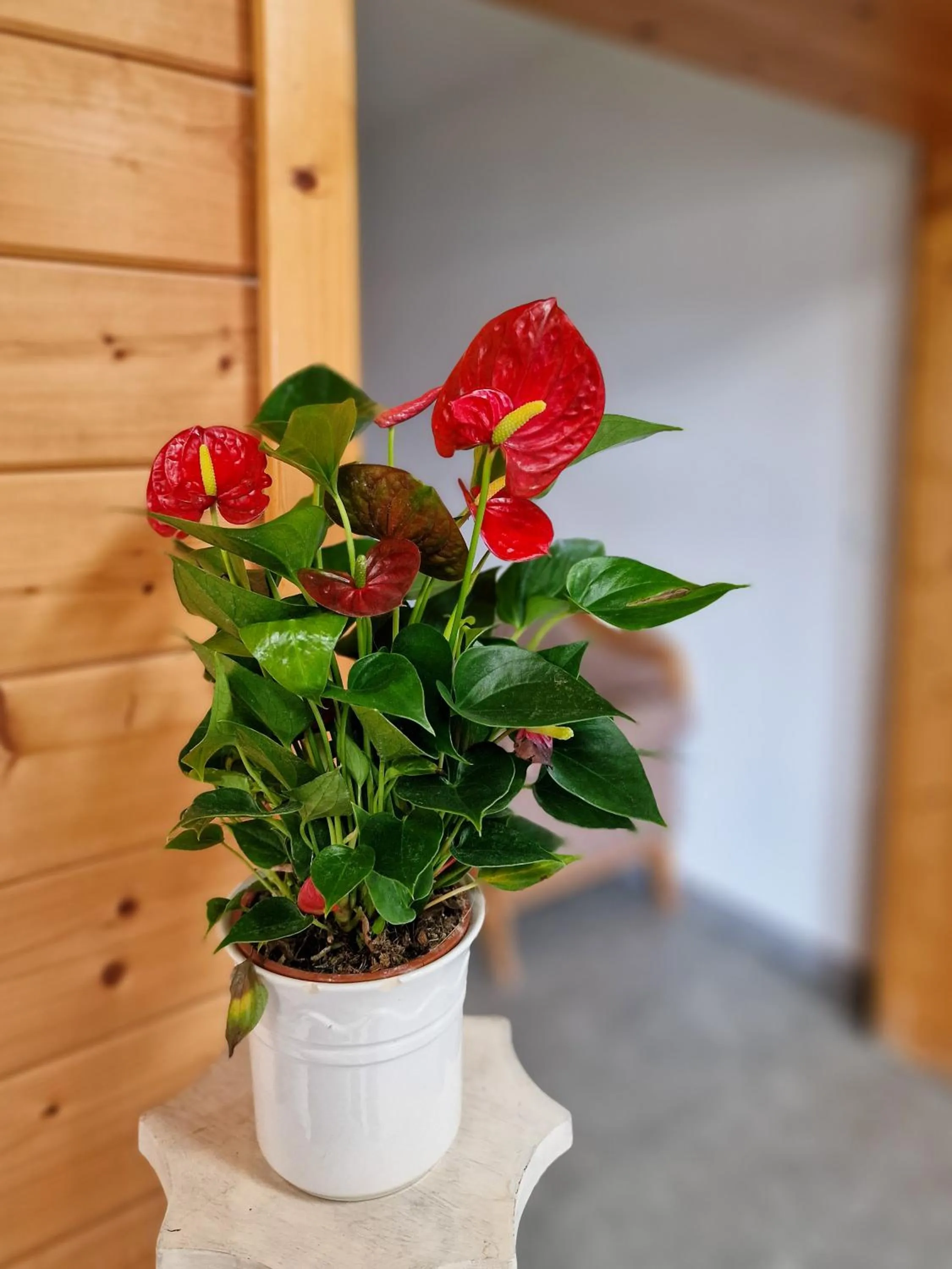 Spring in Ferien vom Ich, Bayerischer Wald, Hotel & Restaurant